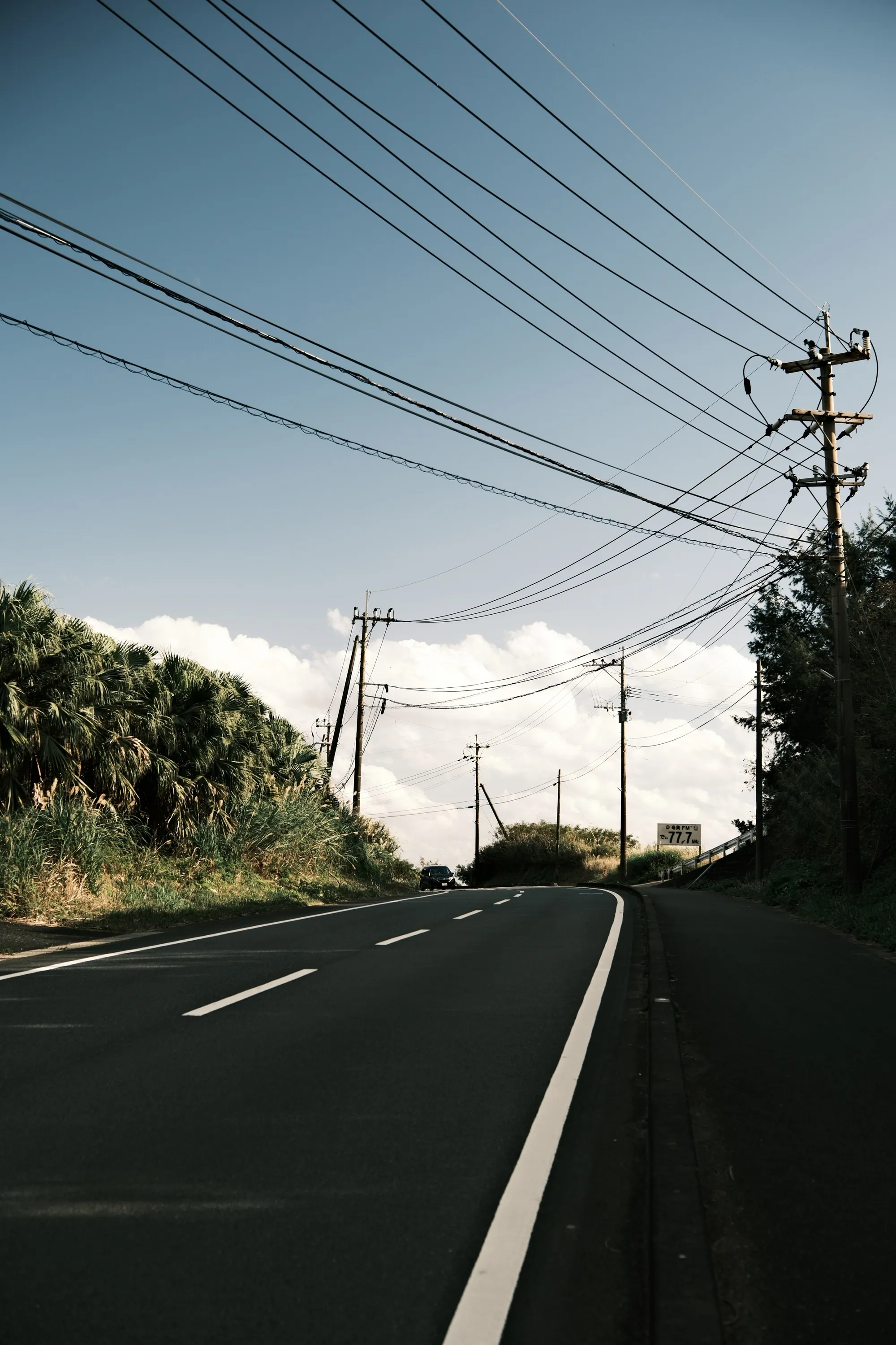 japan-2026, frame 303