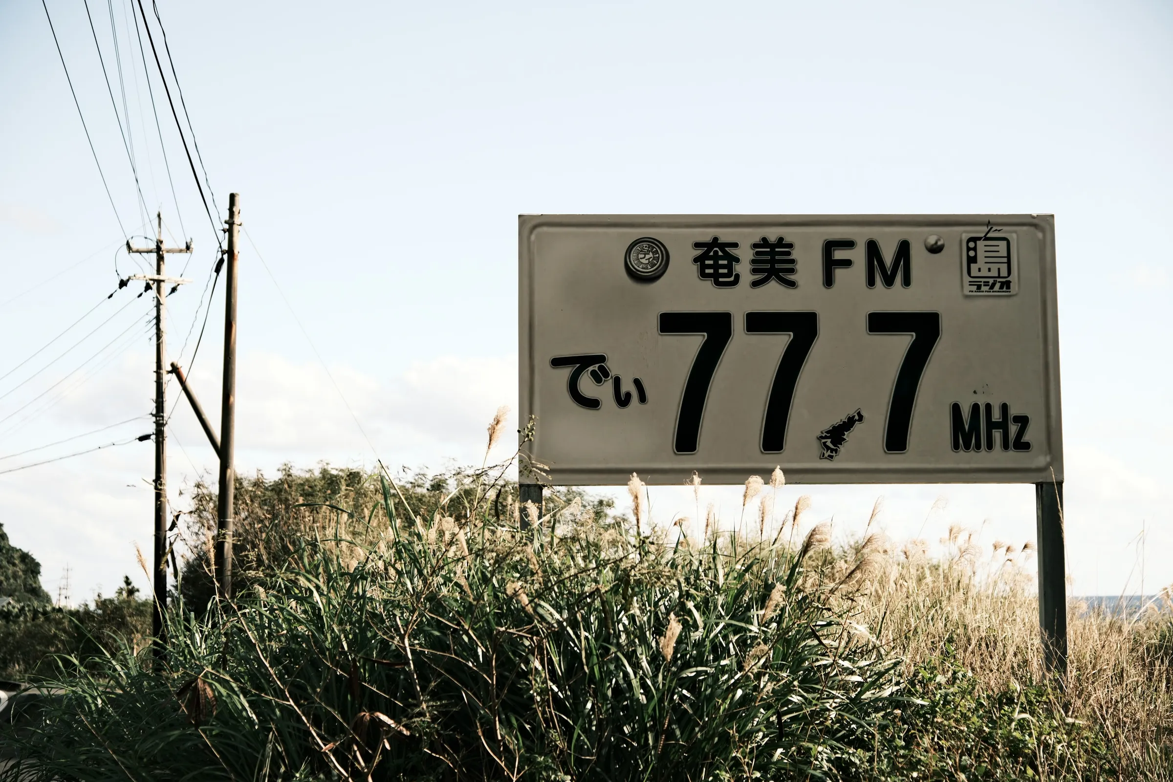 japan-2026, frame 304
