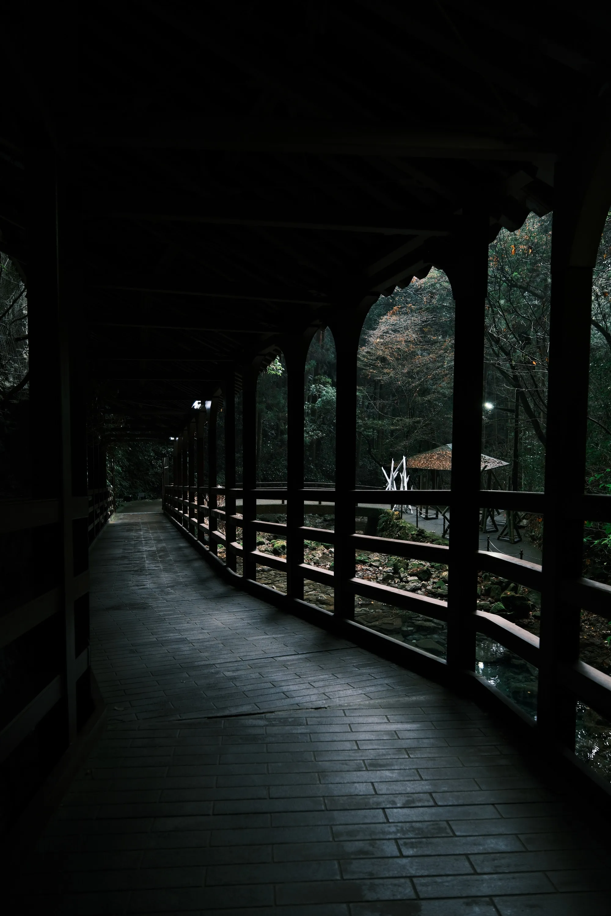 japan-2026, frame 98