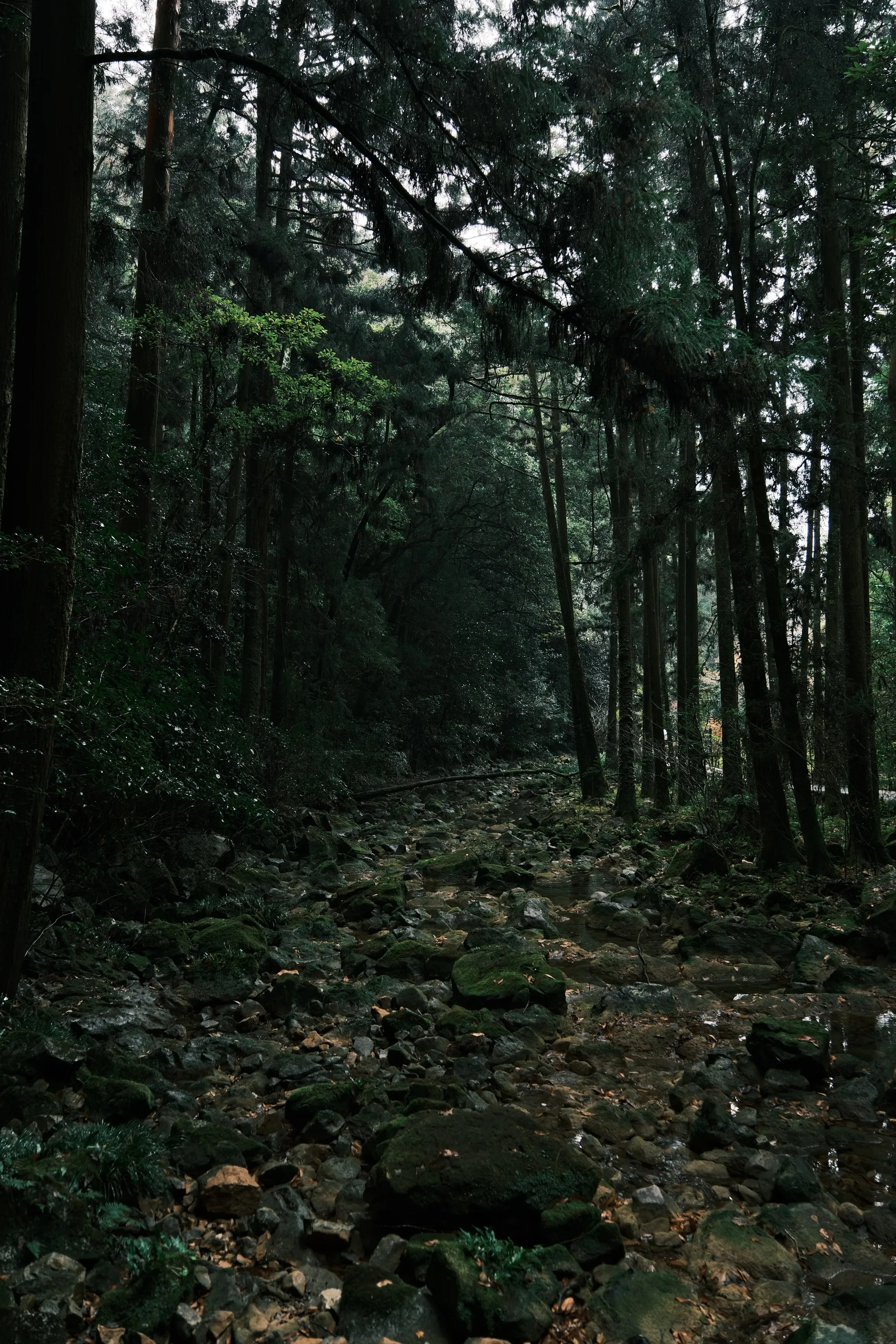 japan-2026, frame 99