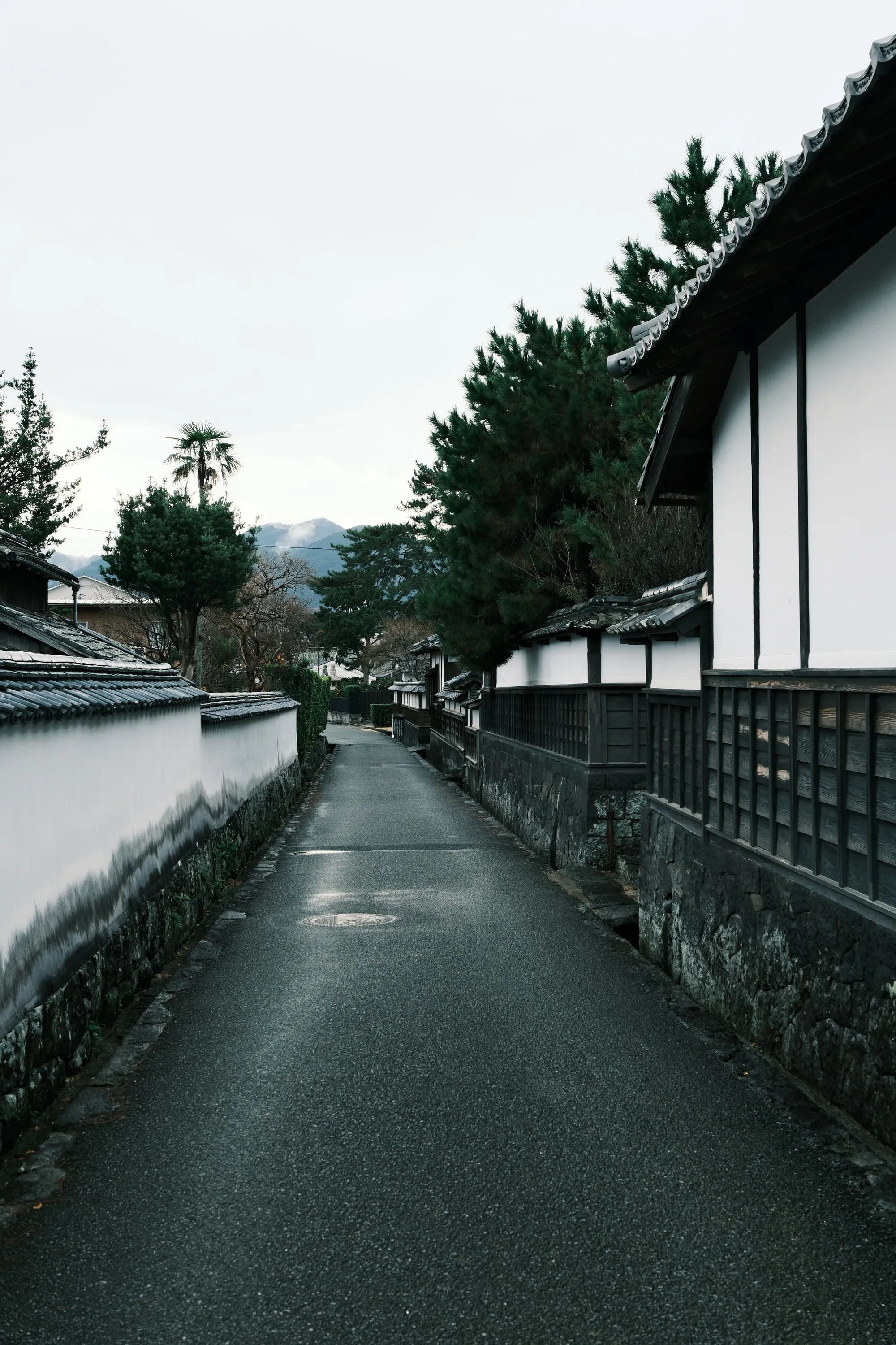 japan-2026, frame 79