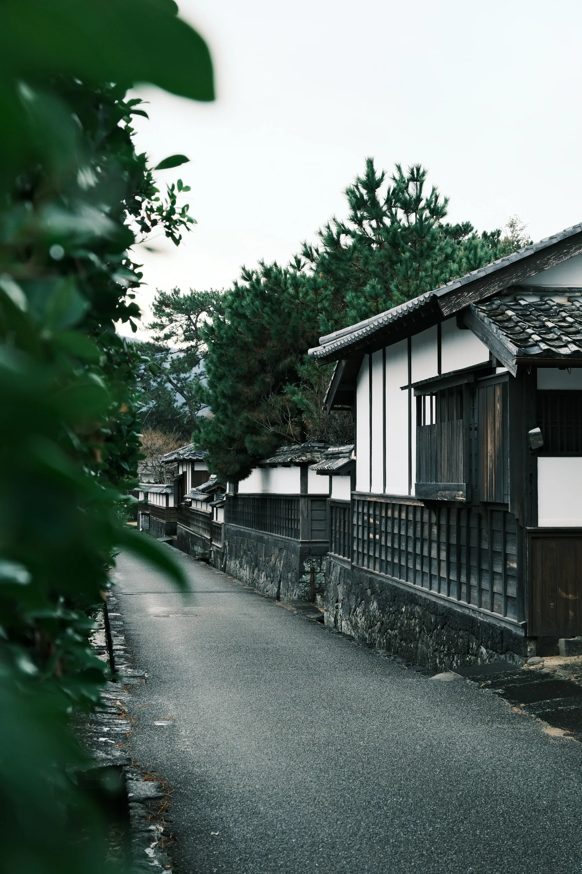 japan-2026, frame 80
