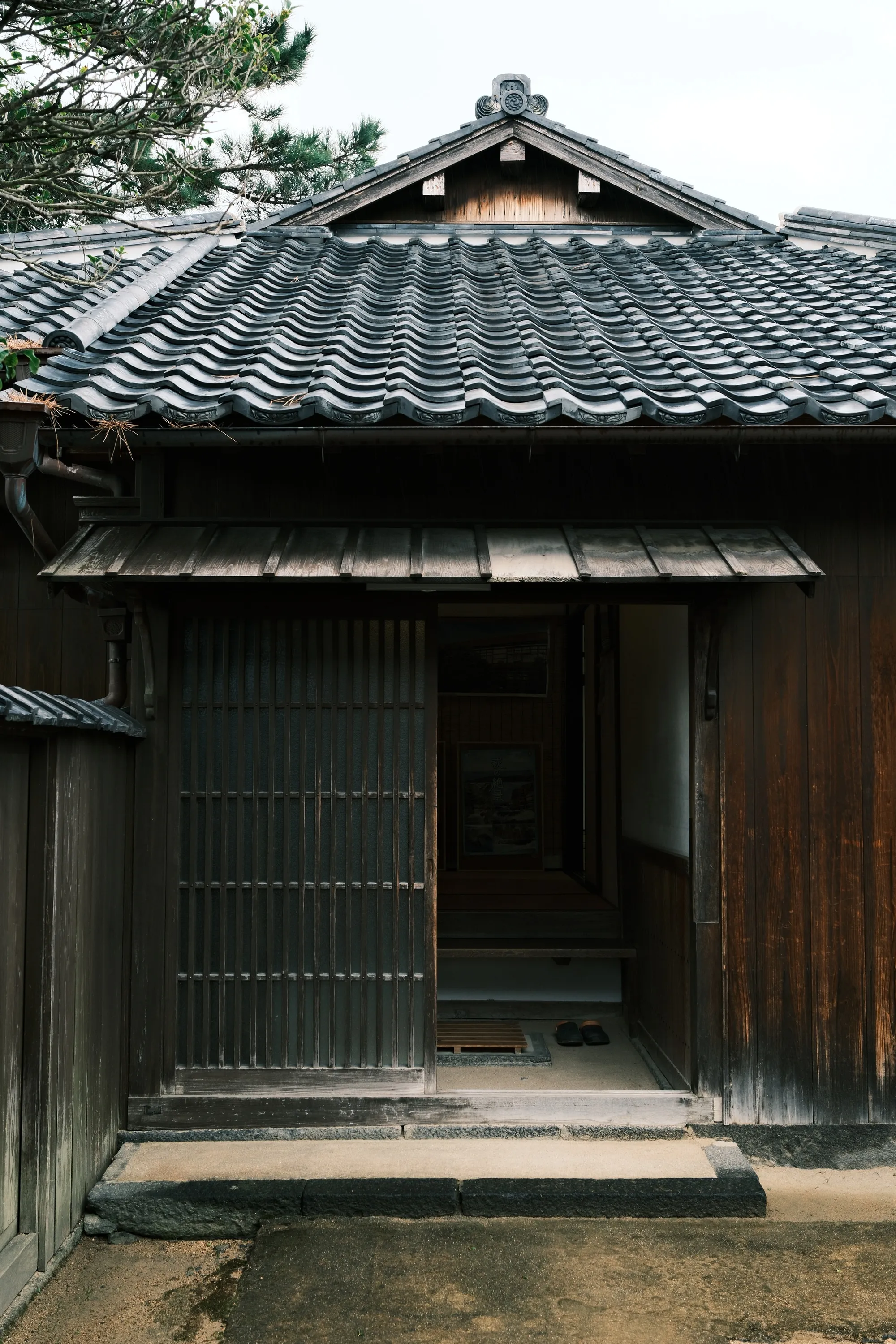 japan-2026, frame 81