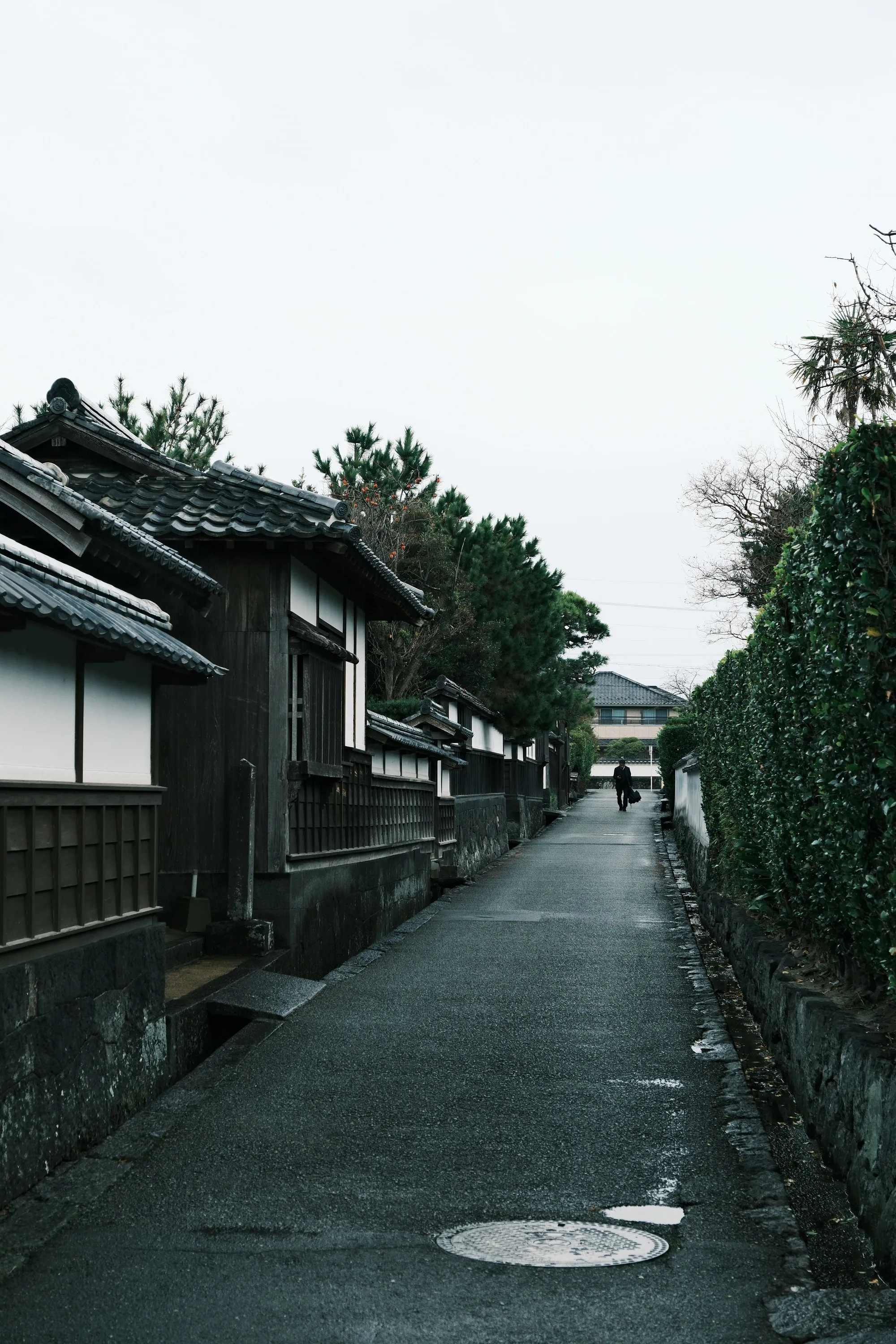 japan-2026, frame 82