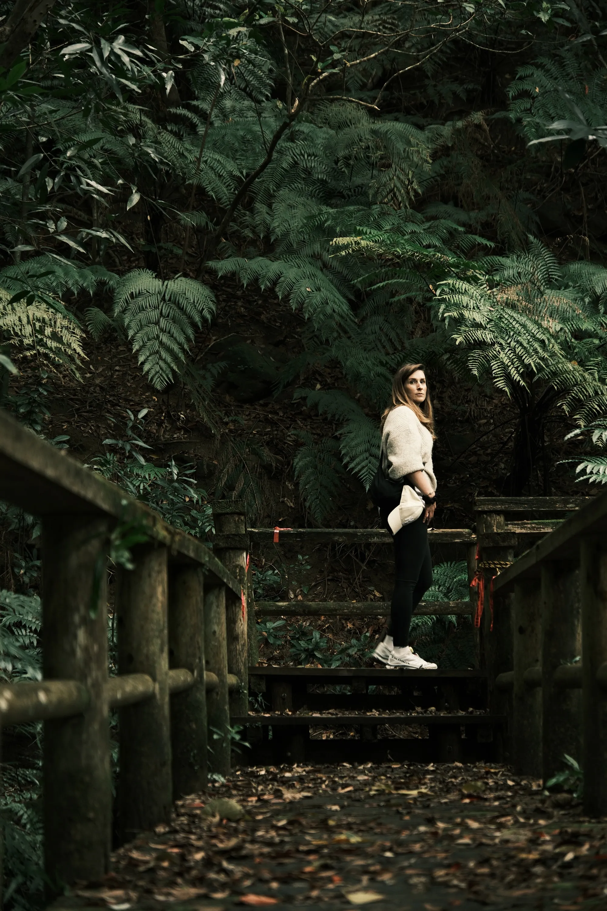 japan-2026, frame 403
