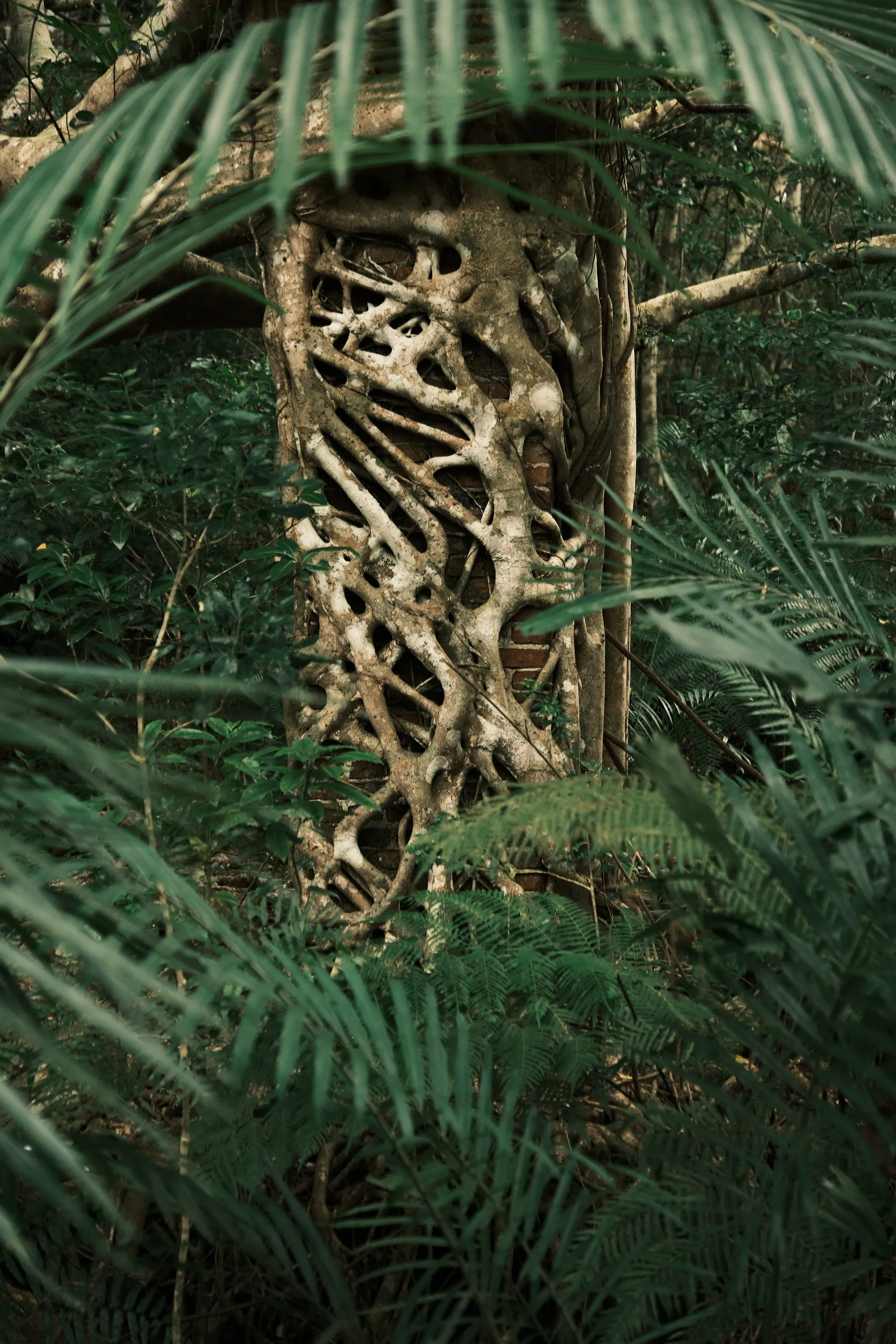 japan-2026, frame 407
