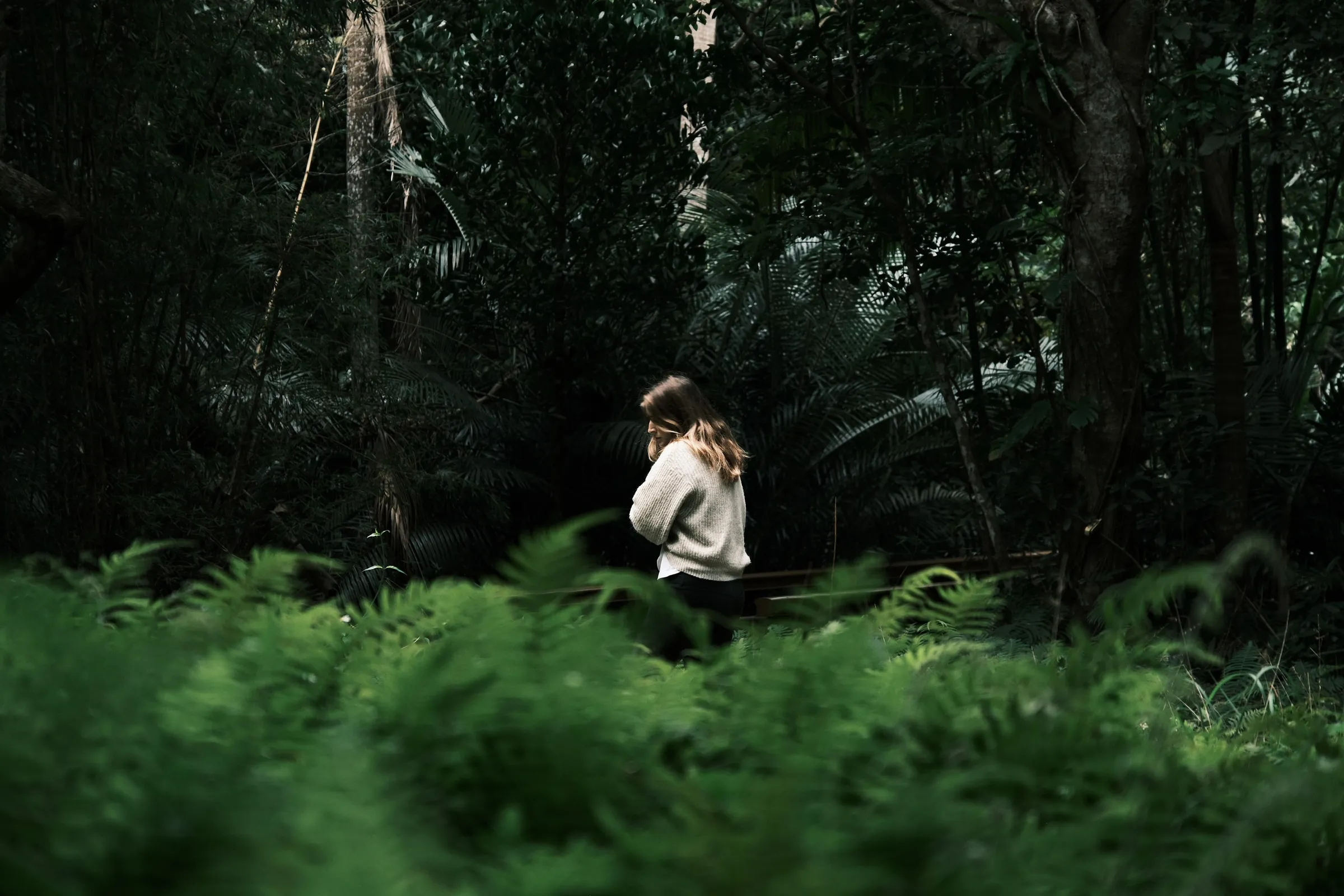 japan-2026, frame 410