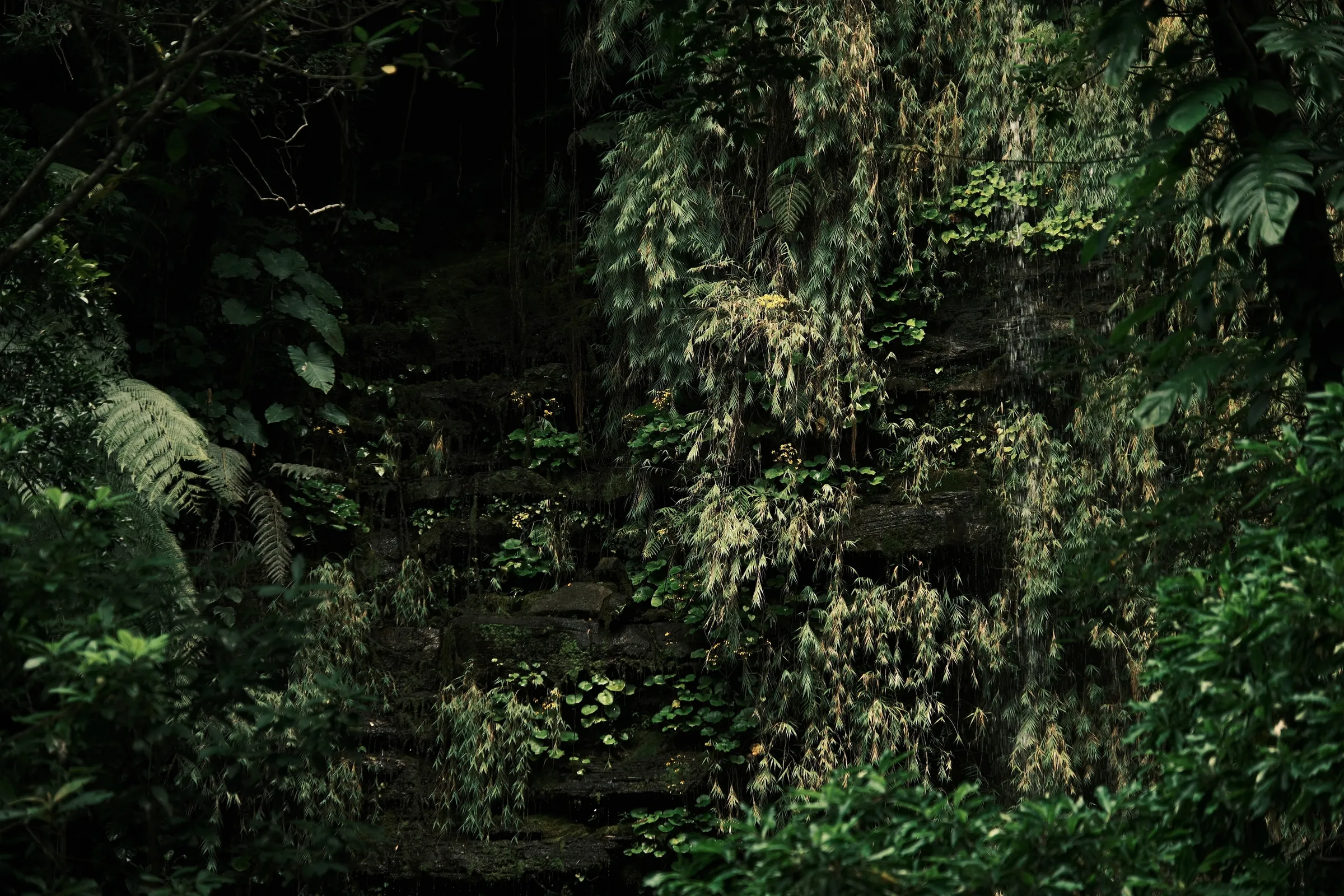 japan-2026, frame 415