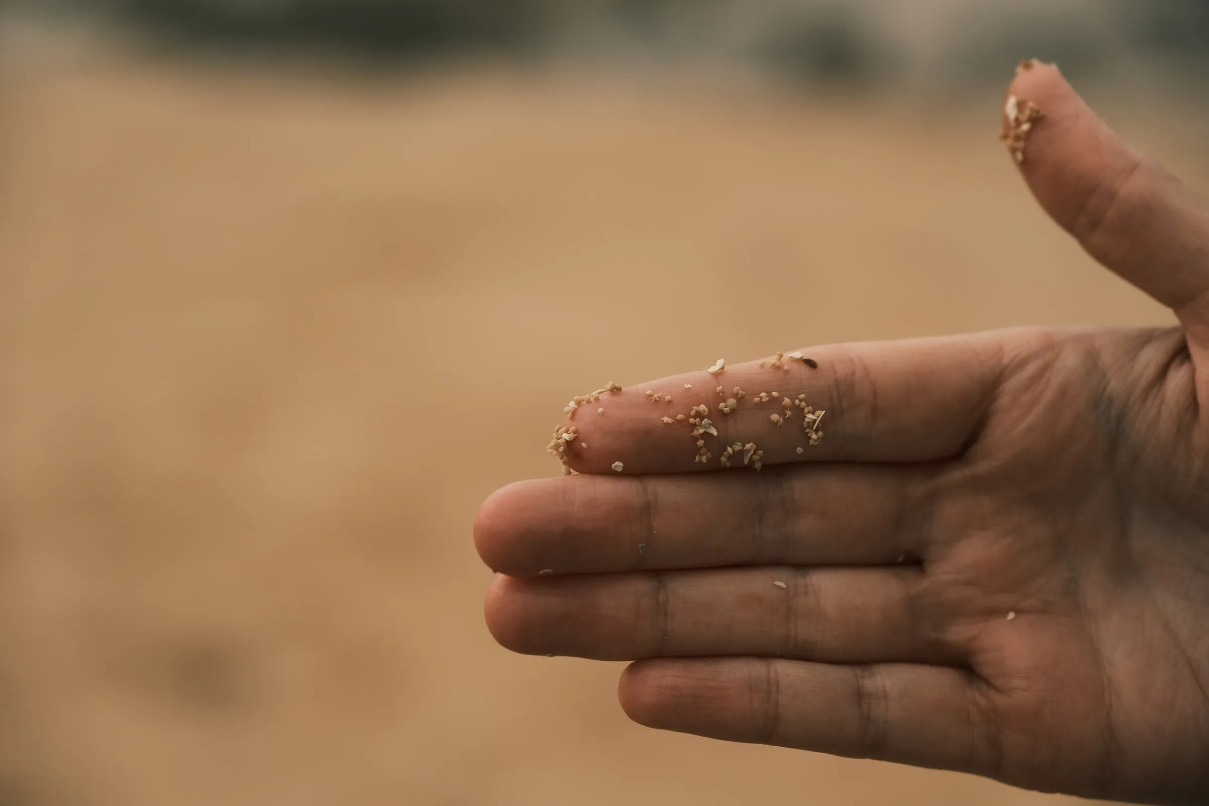 japan-2026, frame 435