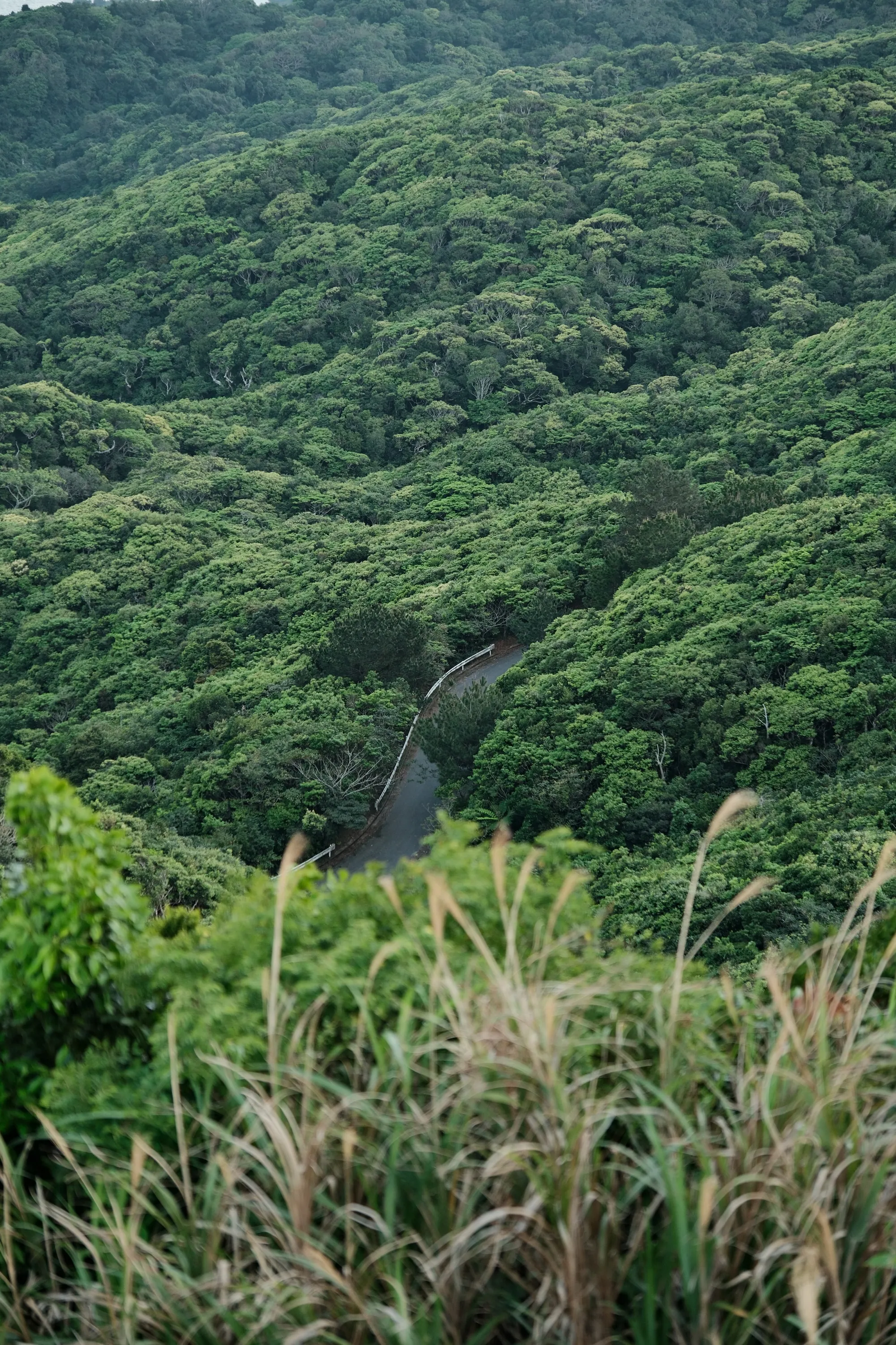 japan-2026, frame 390