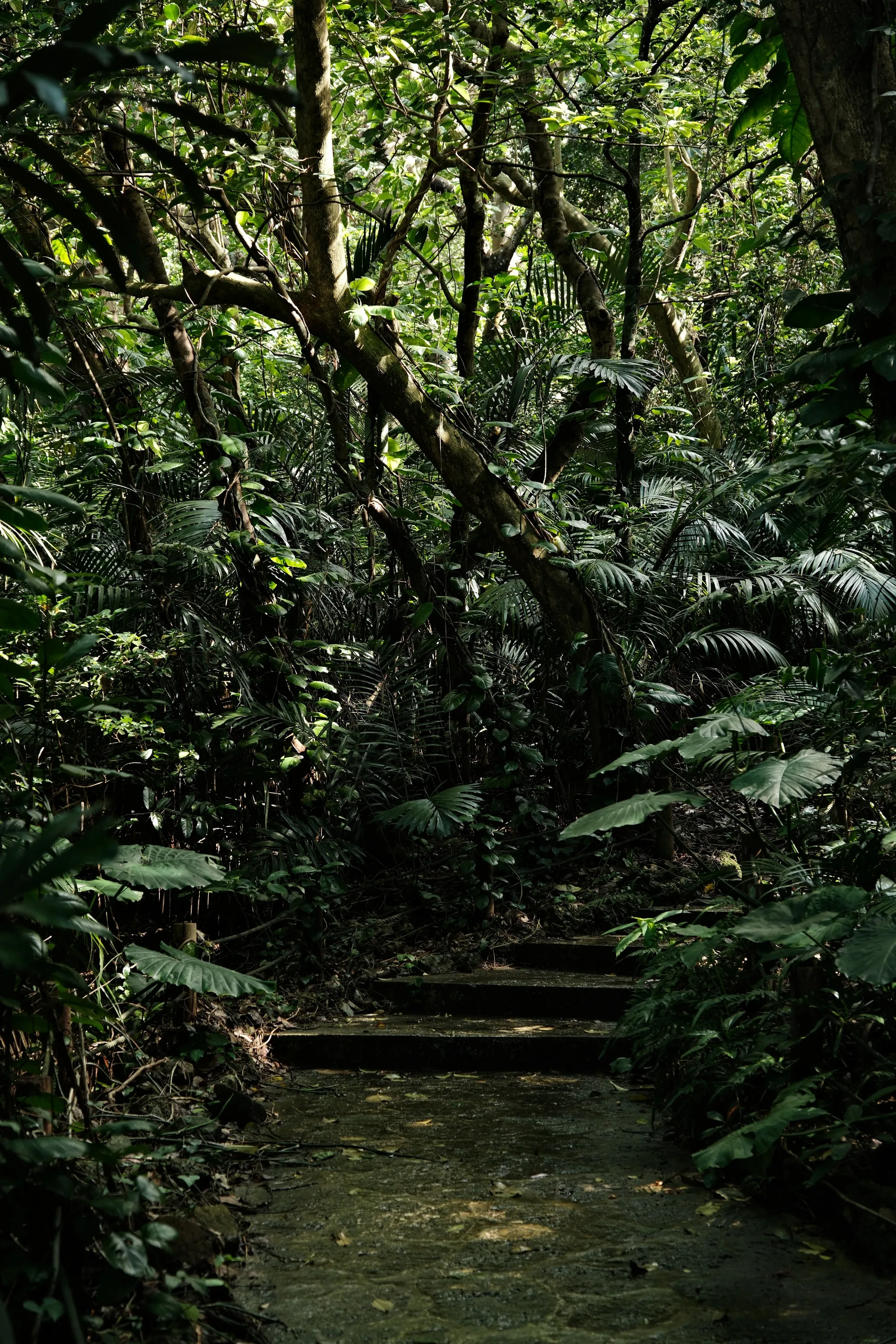 japan-2026, frame 392