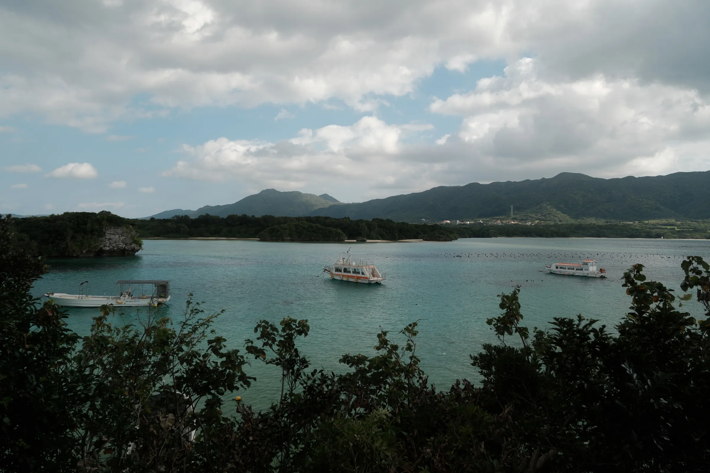 japan-2026, frame 374