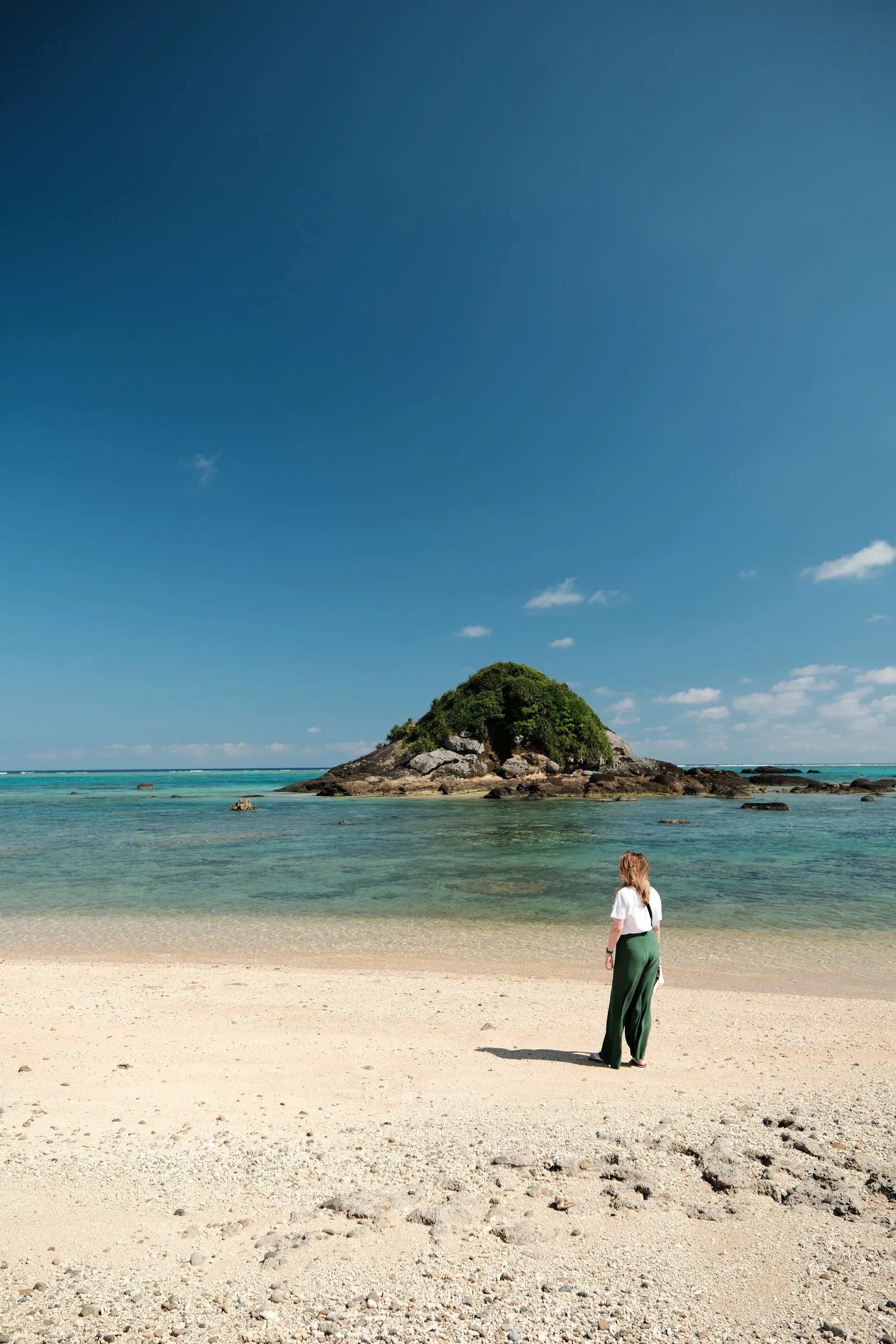 japan-2026, frame 376