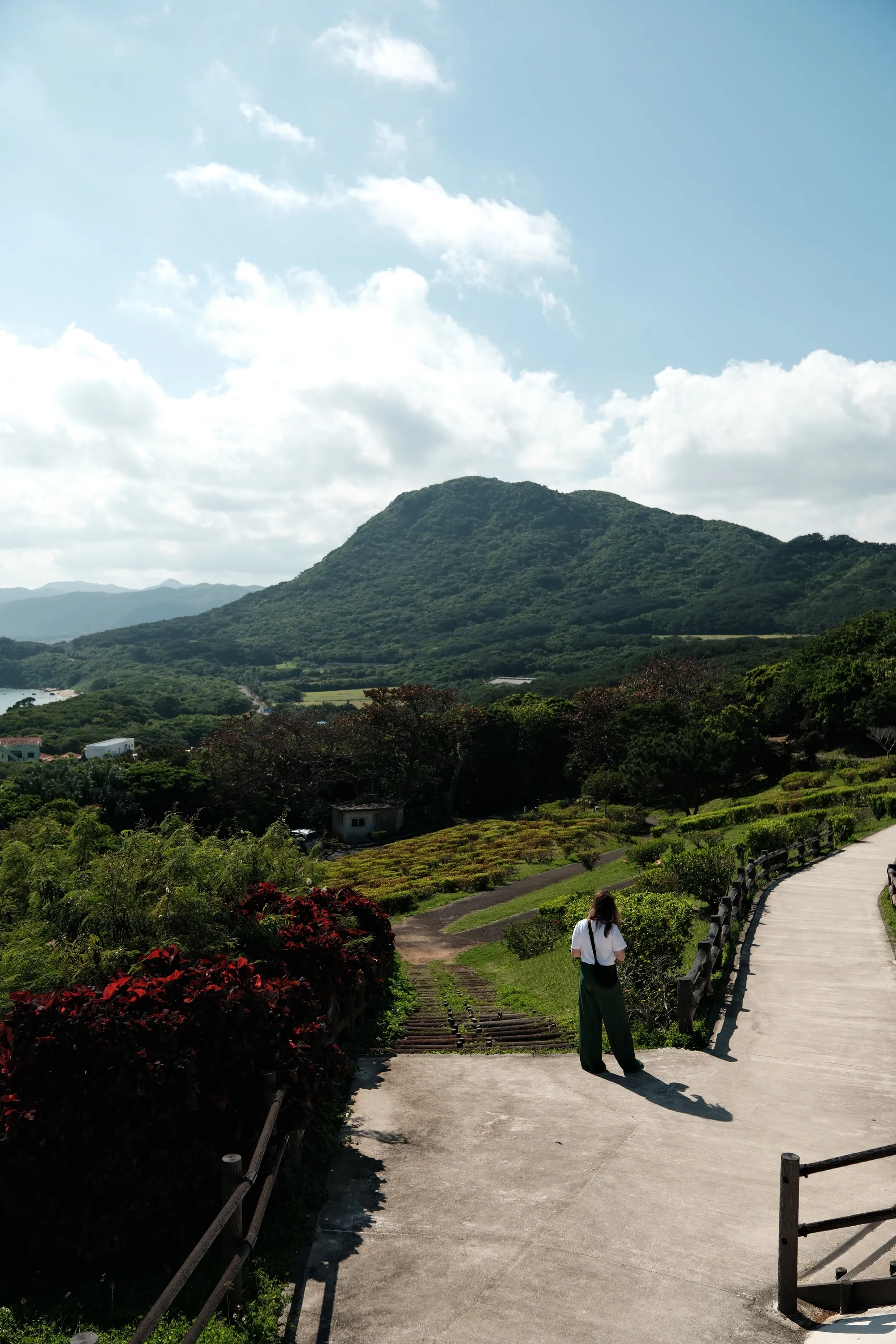 japan-2026, frame 382