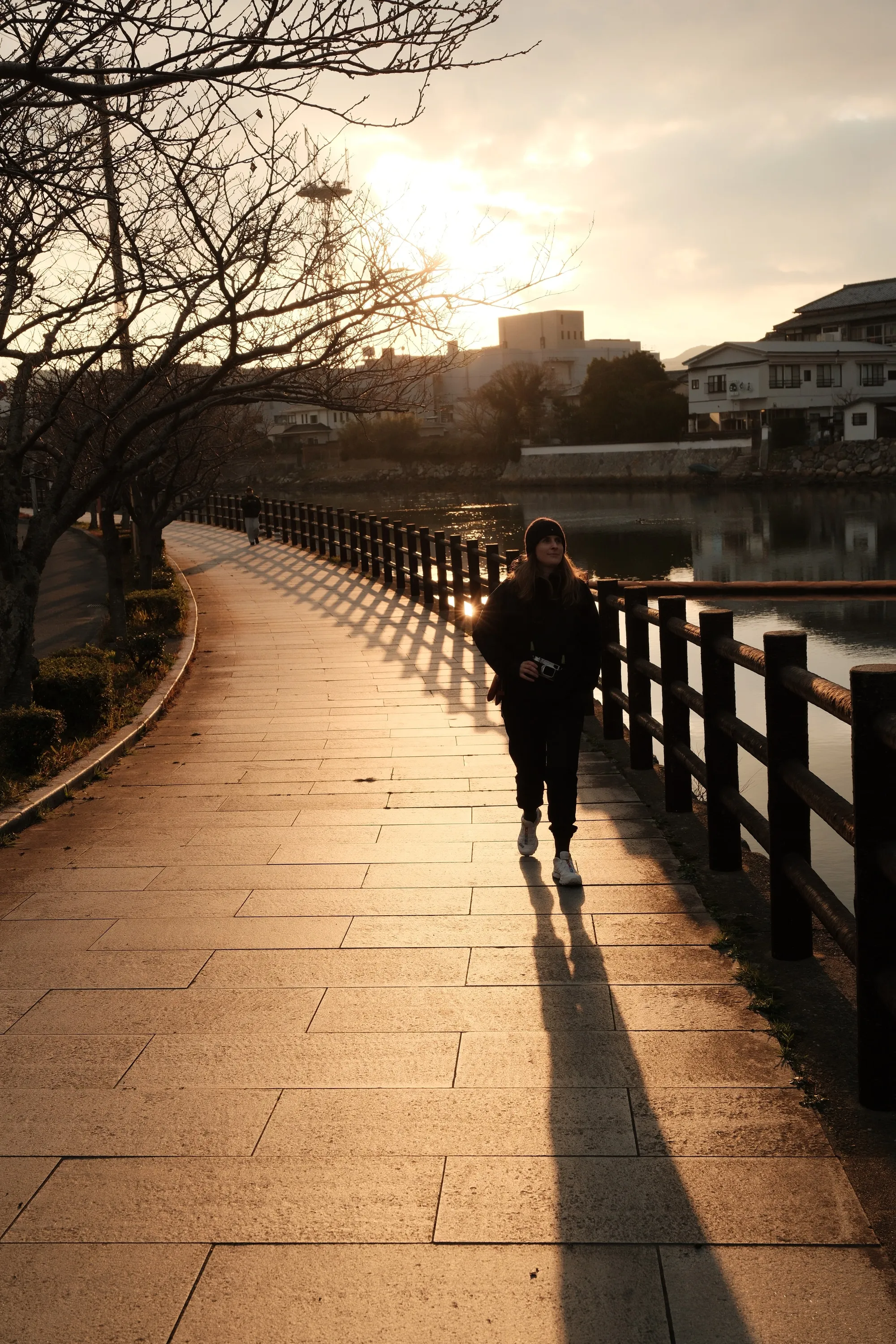 japan-2026, frame 113