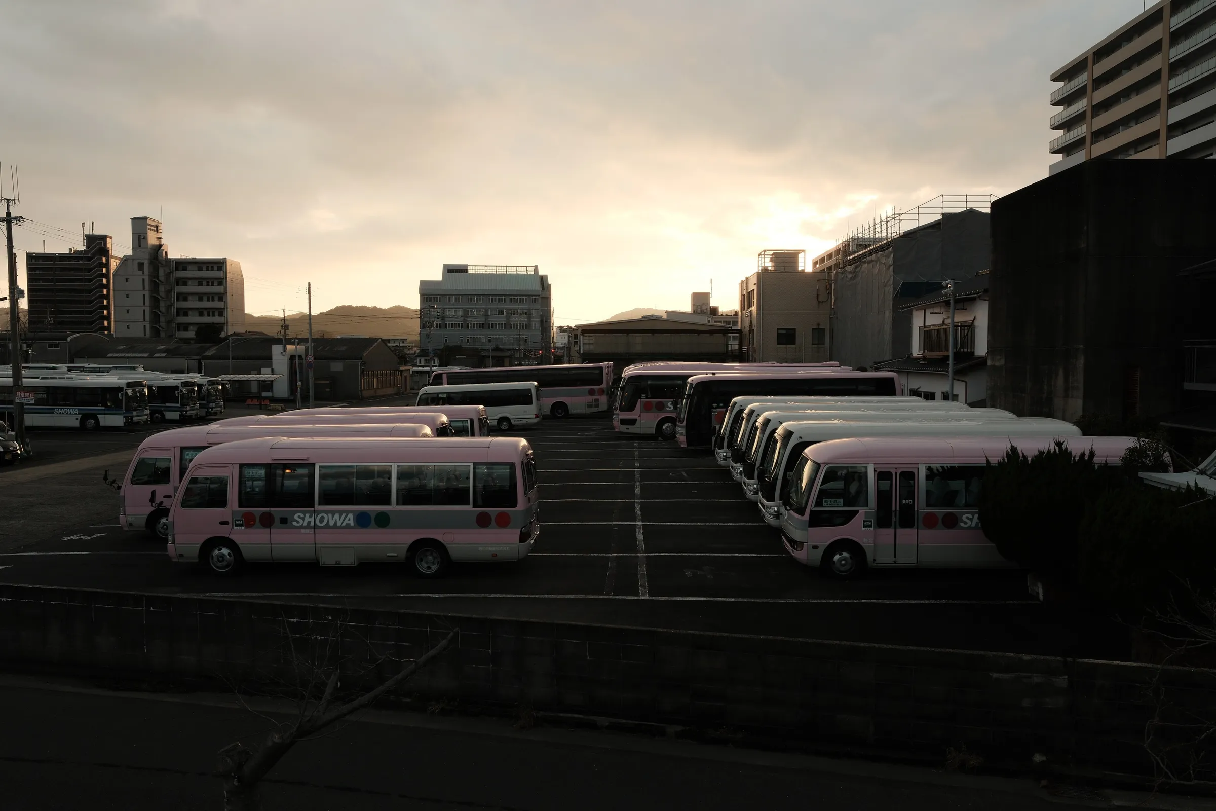 japan-2026, frame 117