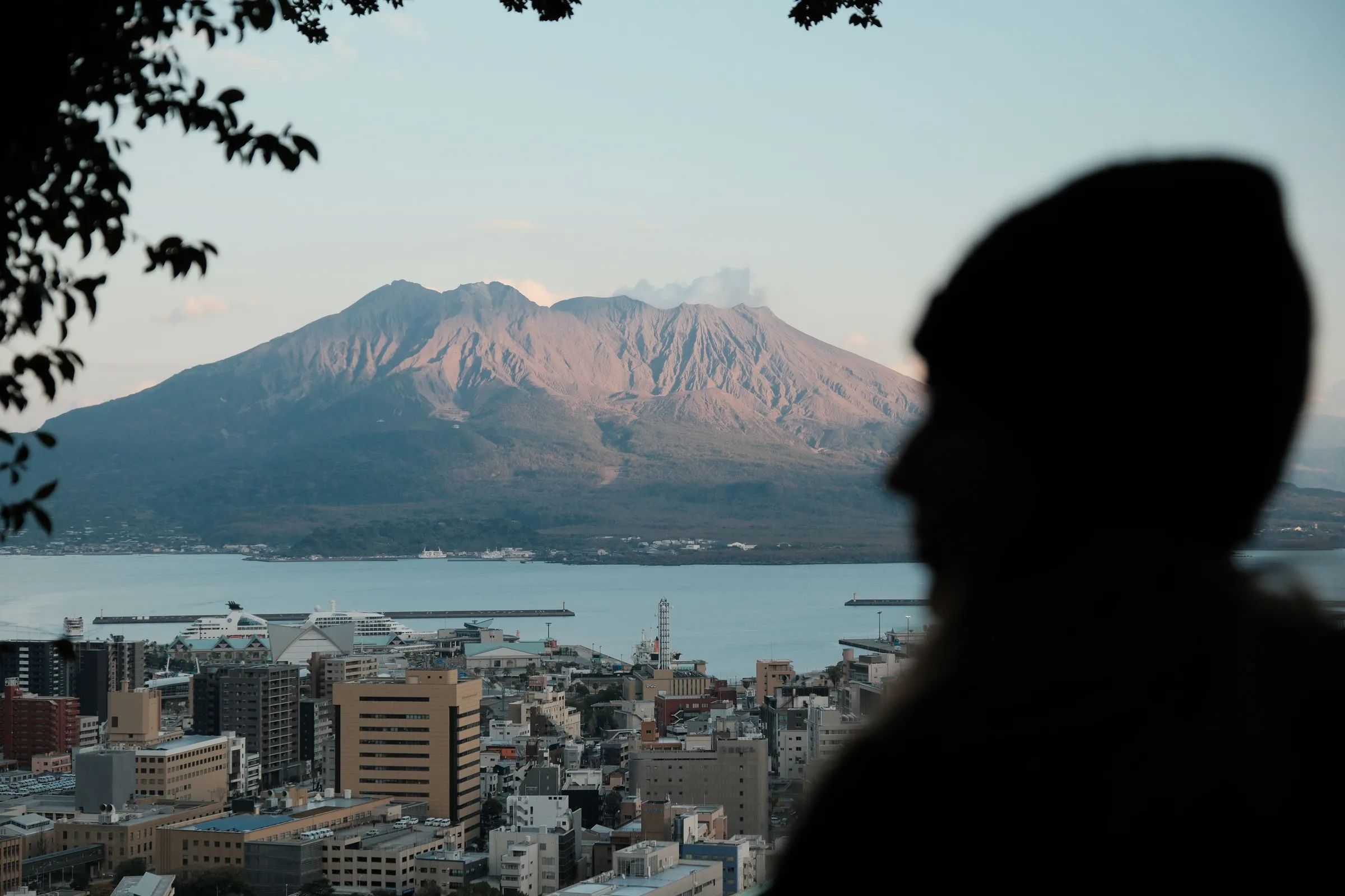 japan-2026, frame 203