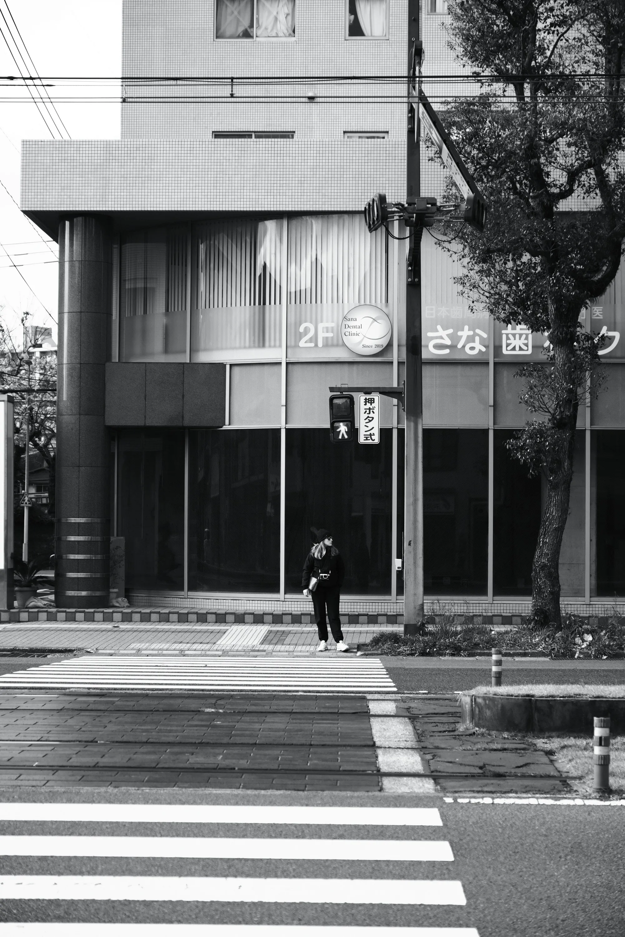 japan-2026, frame 206