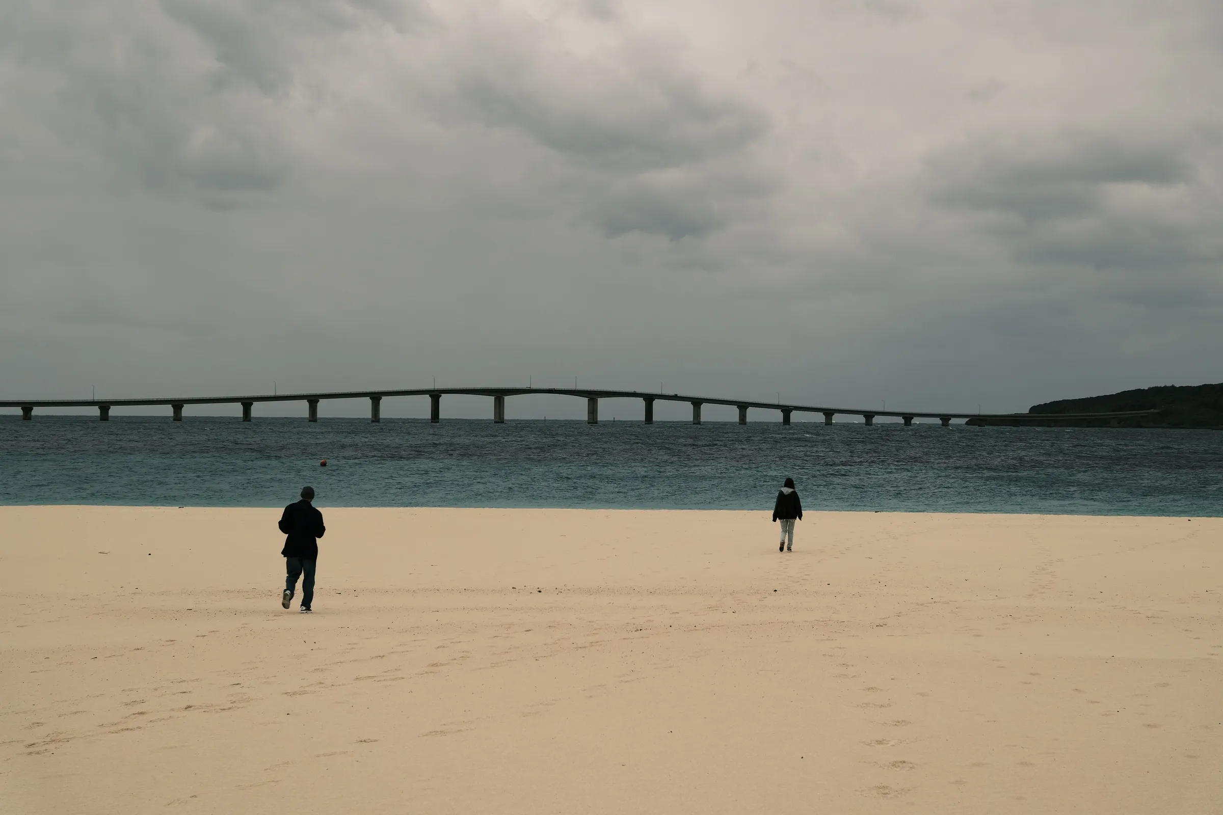 japan-2026, frame 343