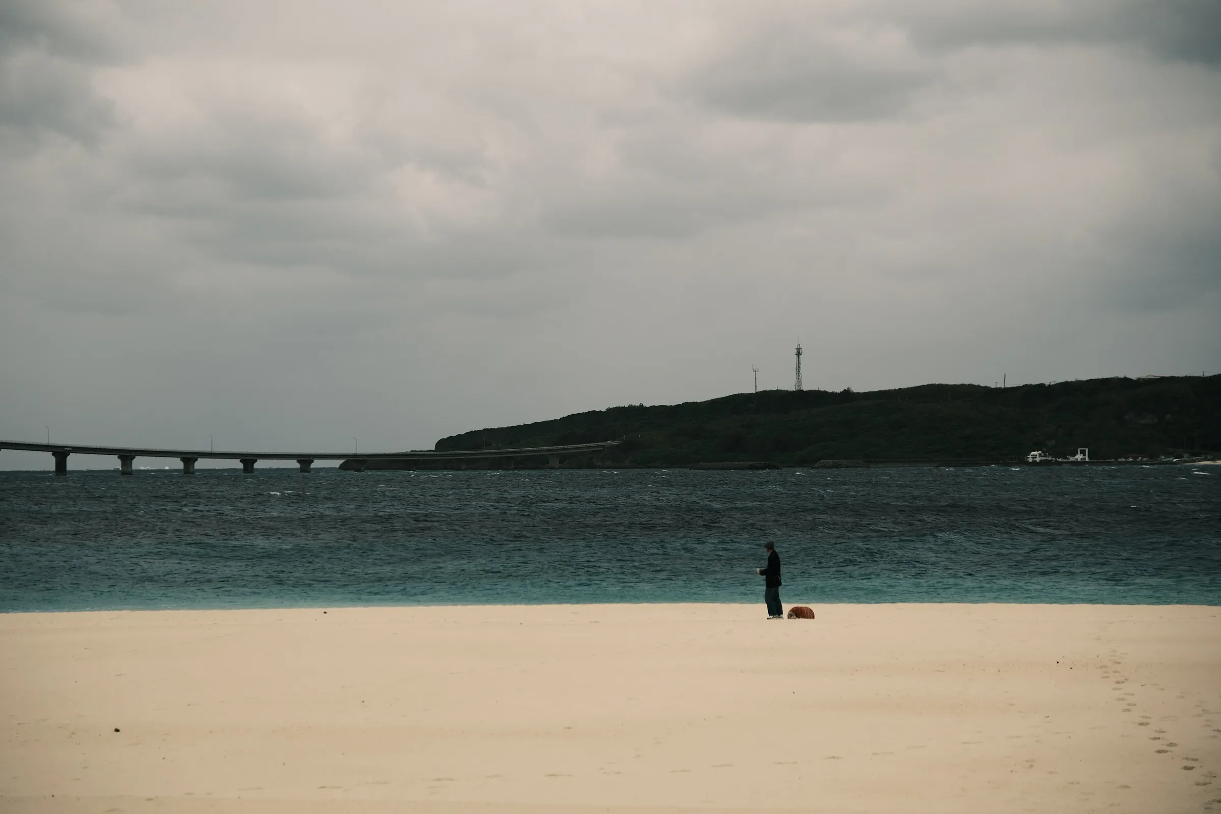 japan-2026, frame 344