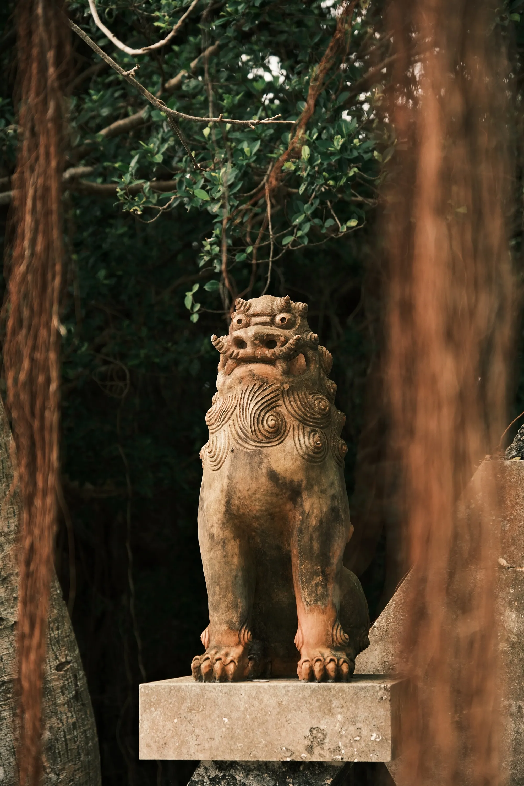 japan-2026, frame 350
