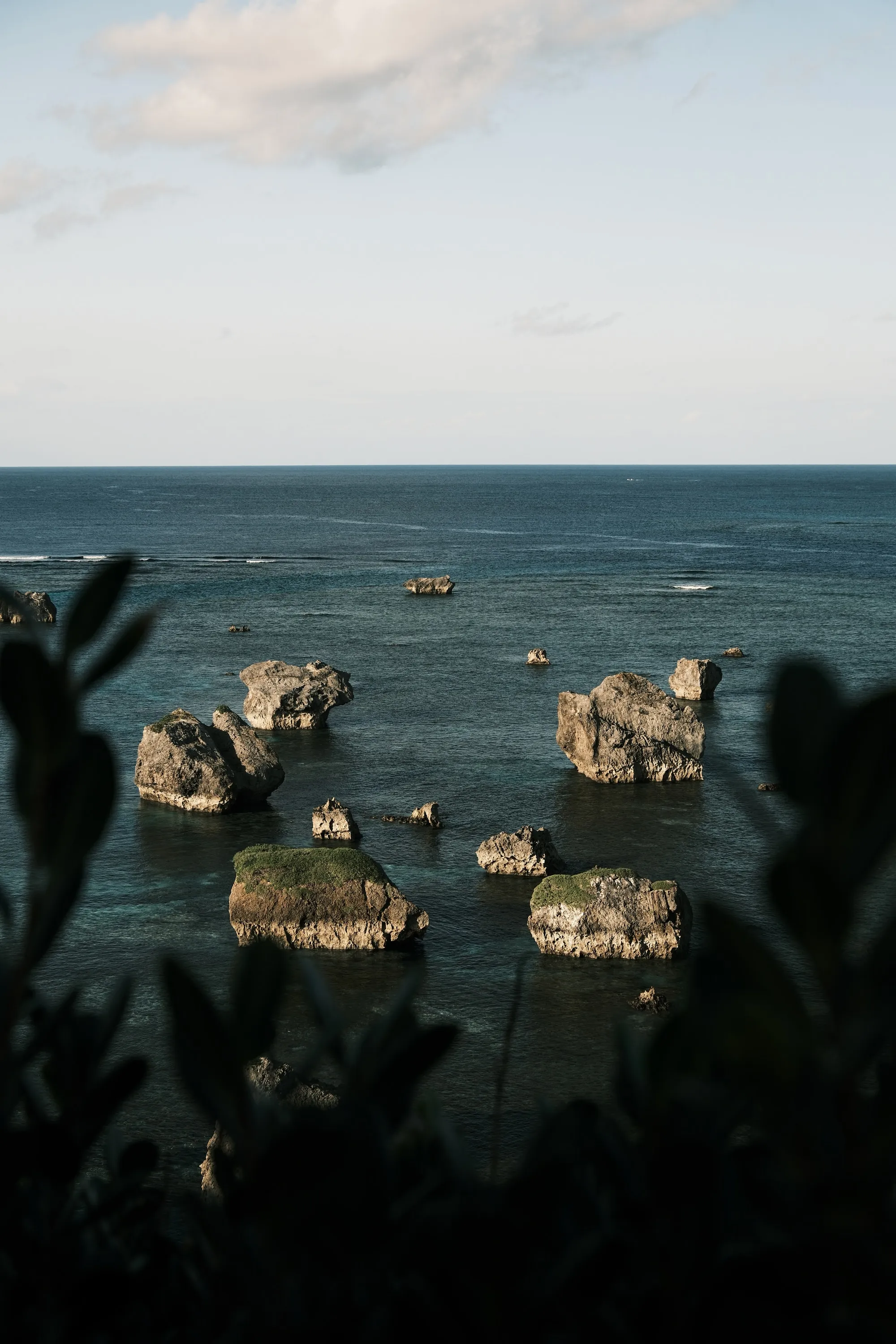 japan-2026, frame 366