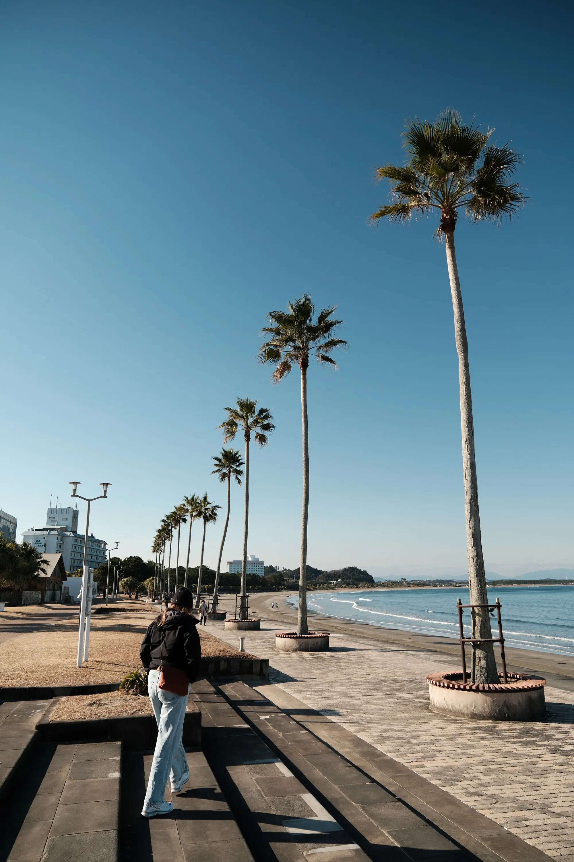 japan-2026, frame 172