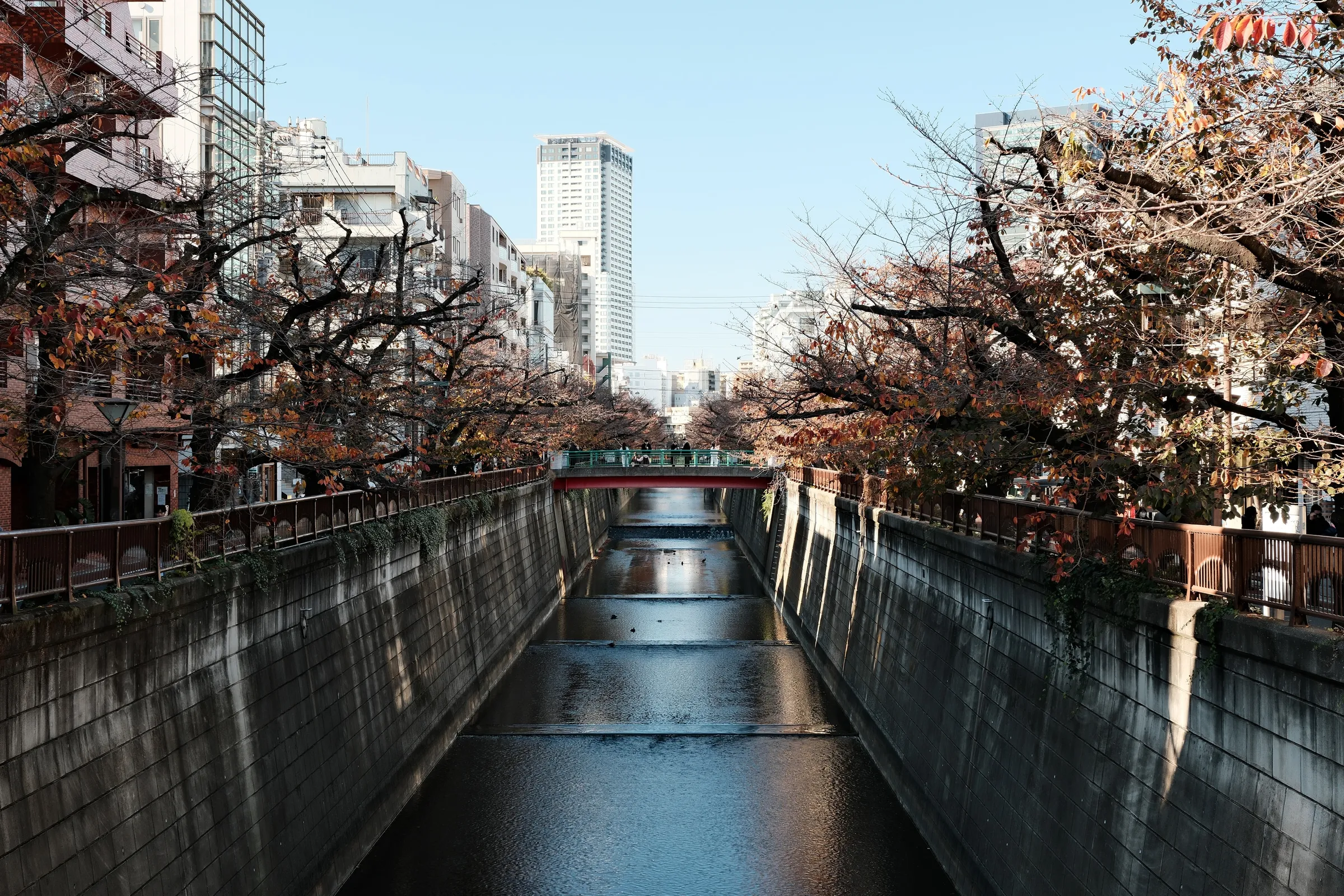 japan-2026, frame 5