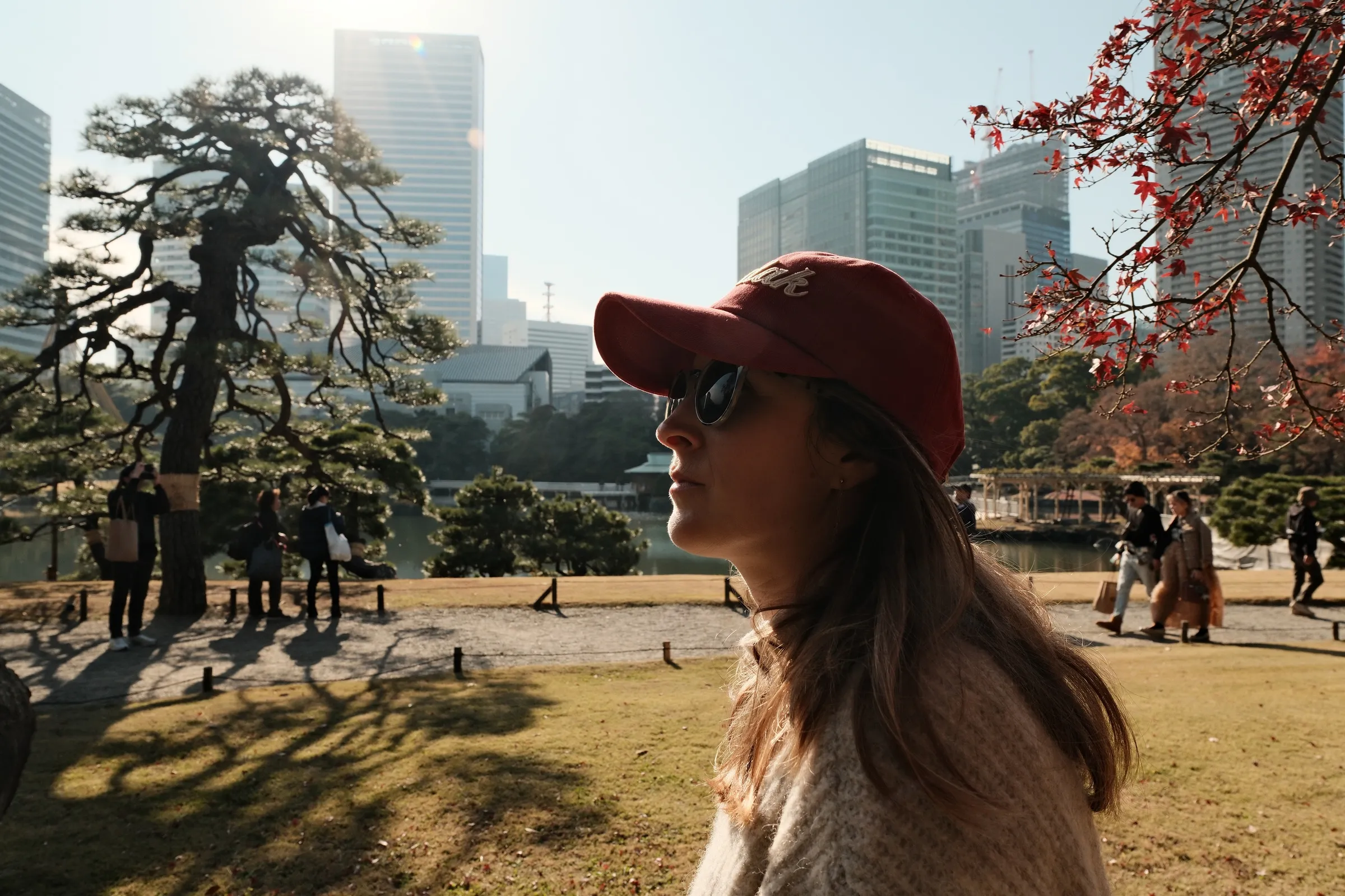 japan-2026, frame 20