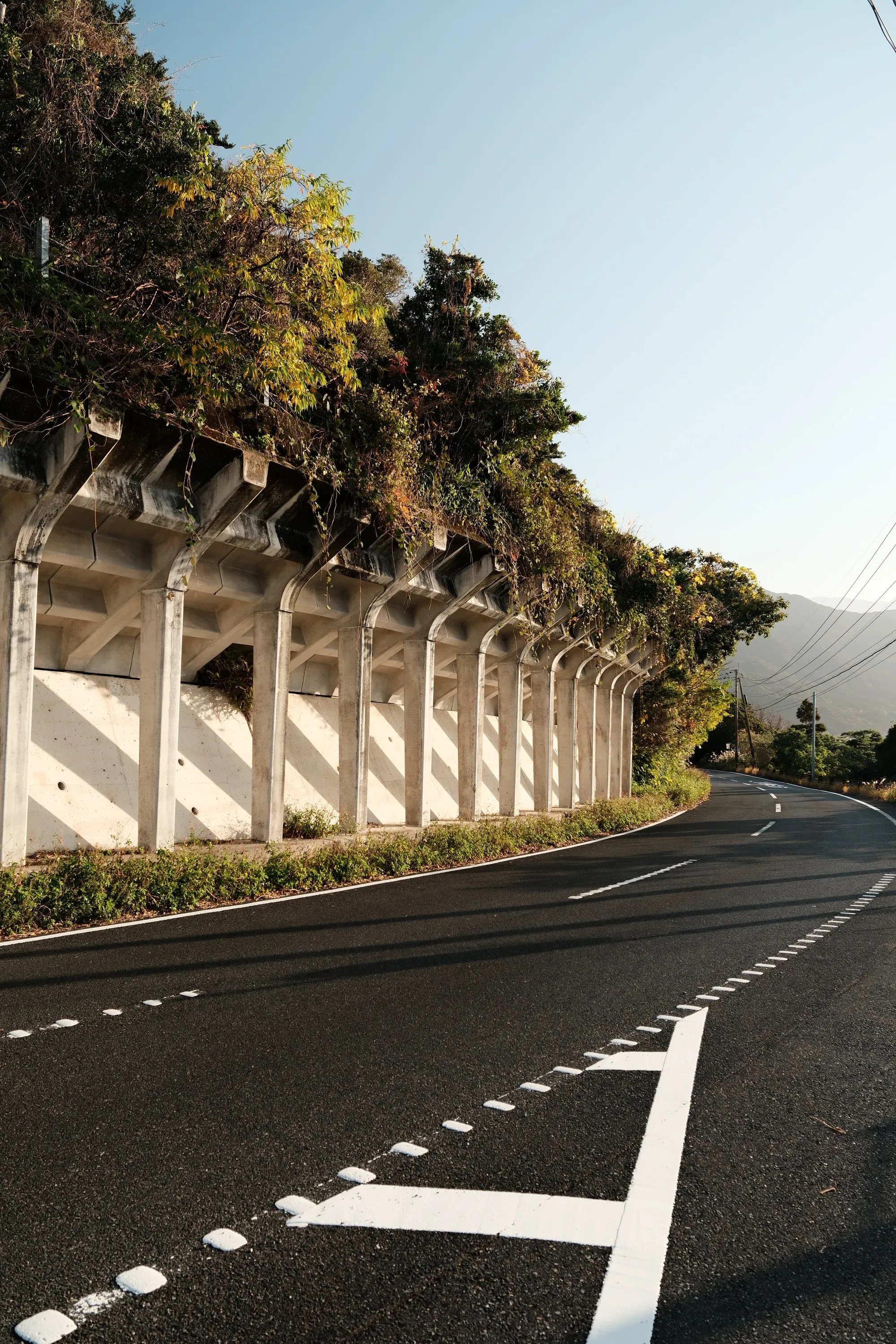 japan-2026, frame 220