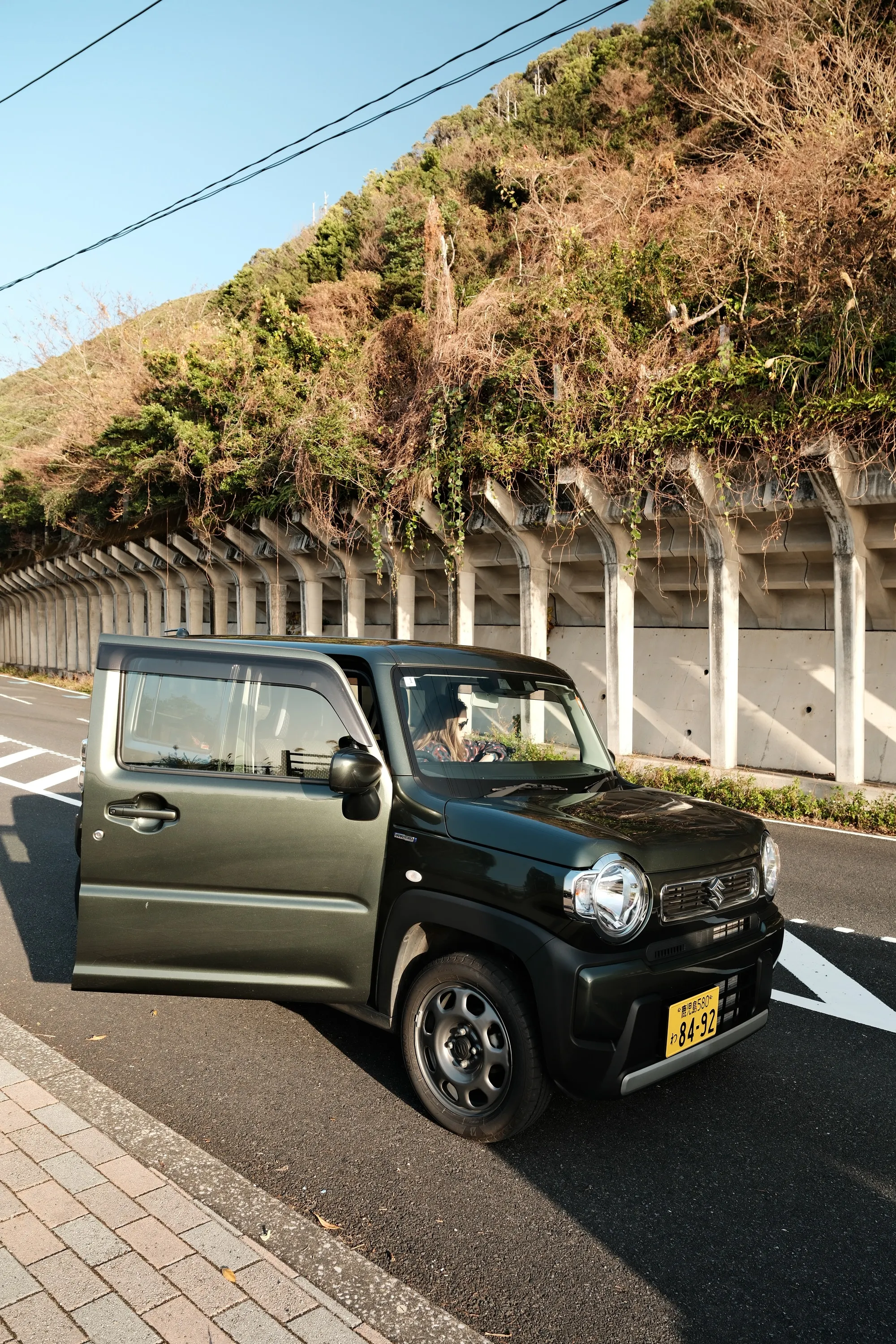 japan-2026, frame 221