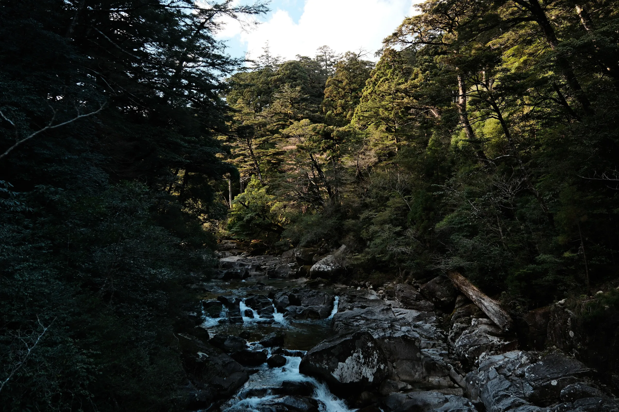 japan-2026, frame 243