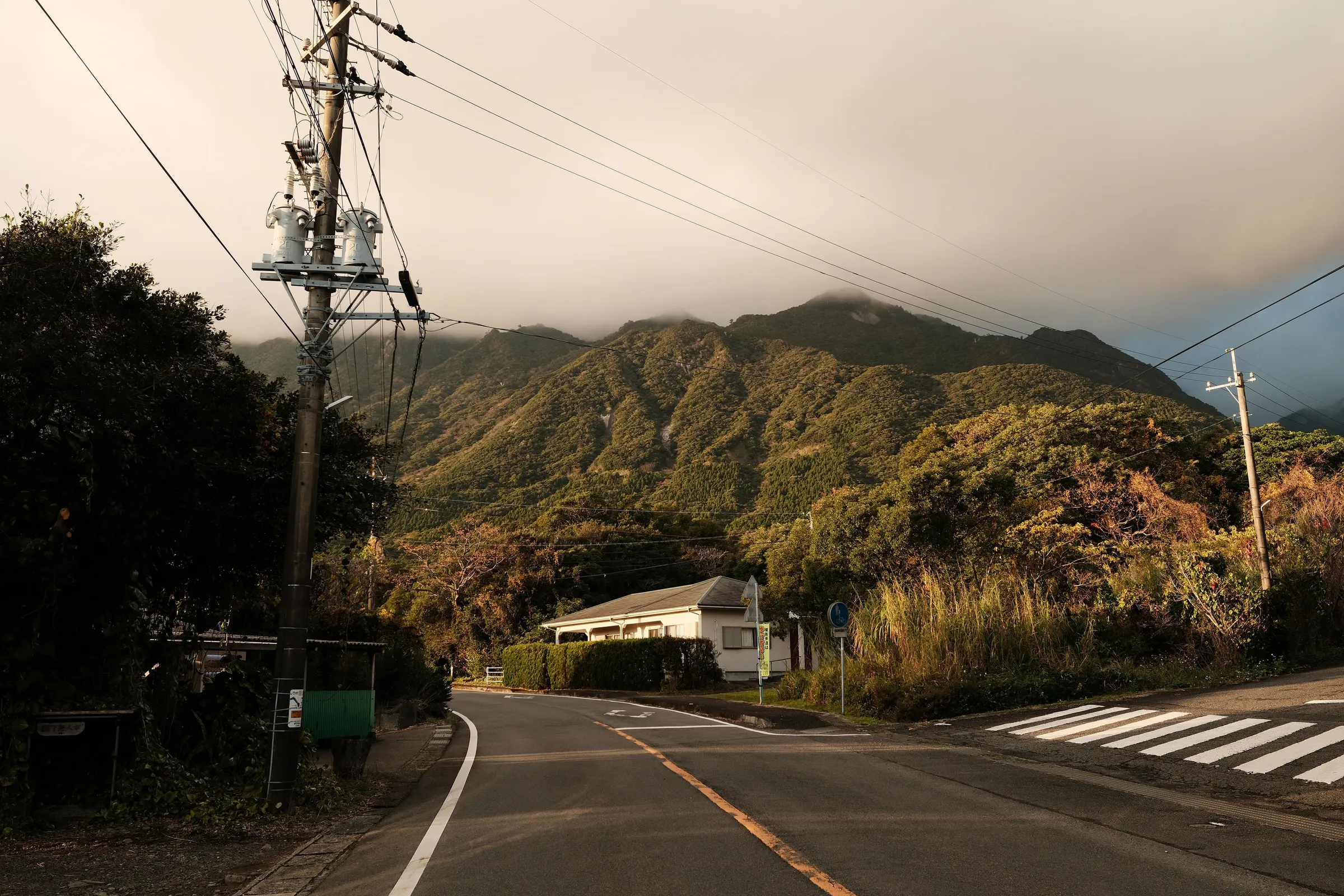 japan-2026, frame 245
