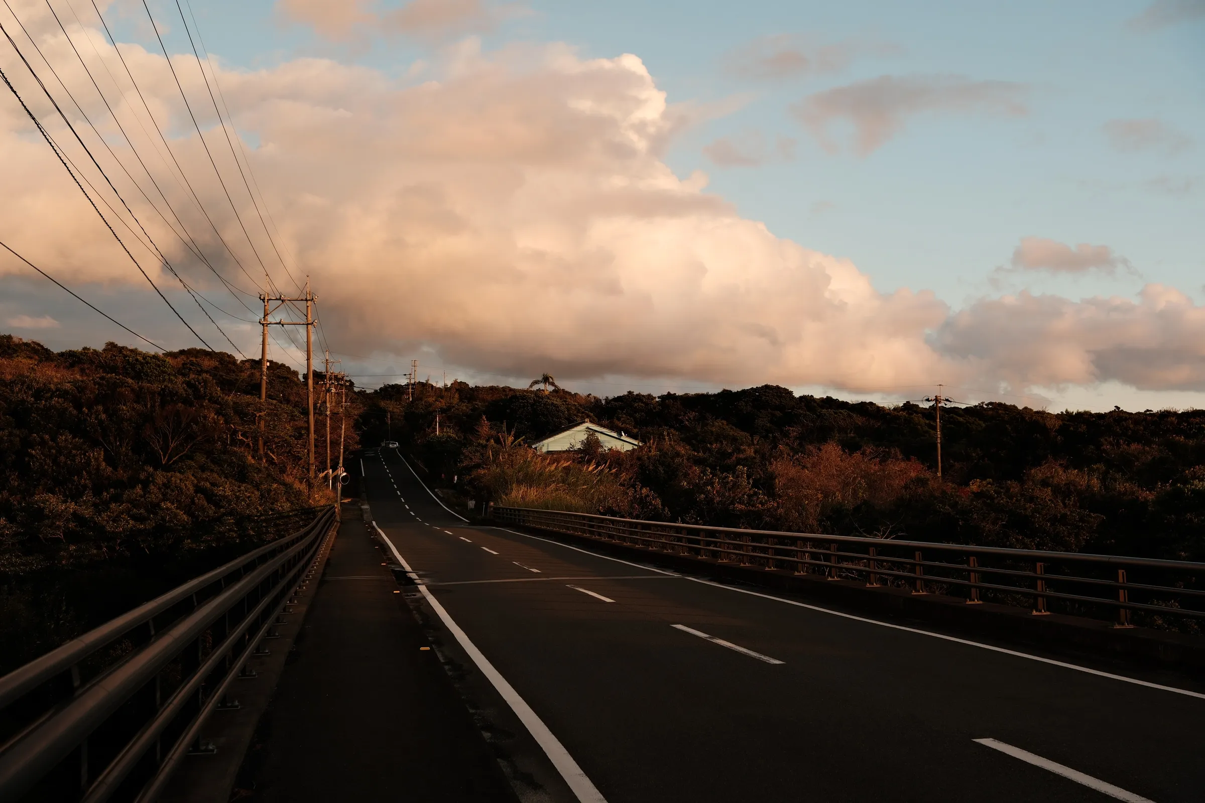japan-2026, frame 247