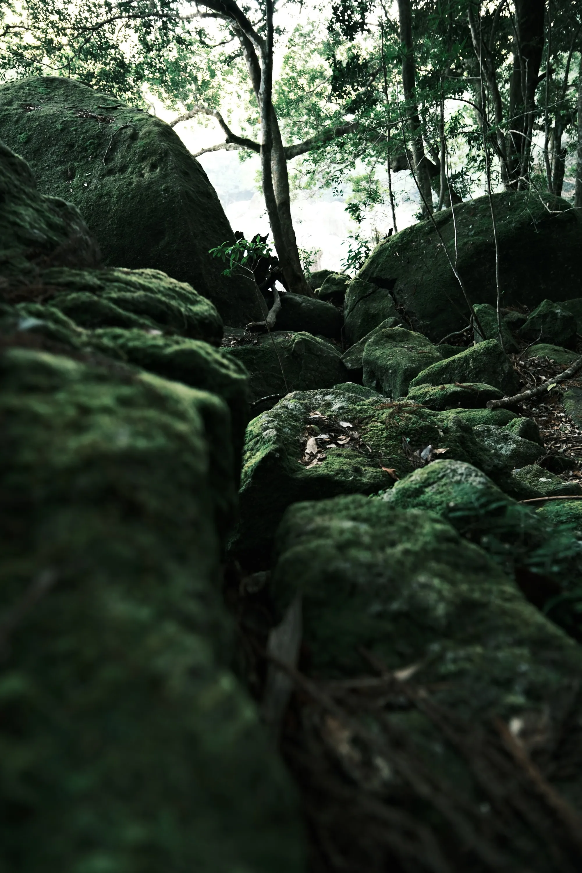 japan-2026, frame 264