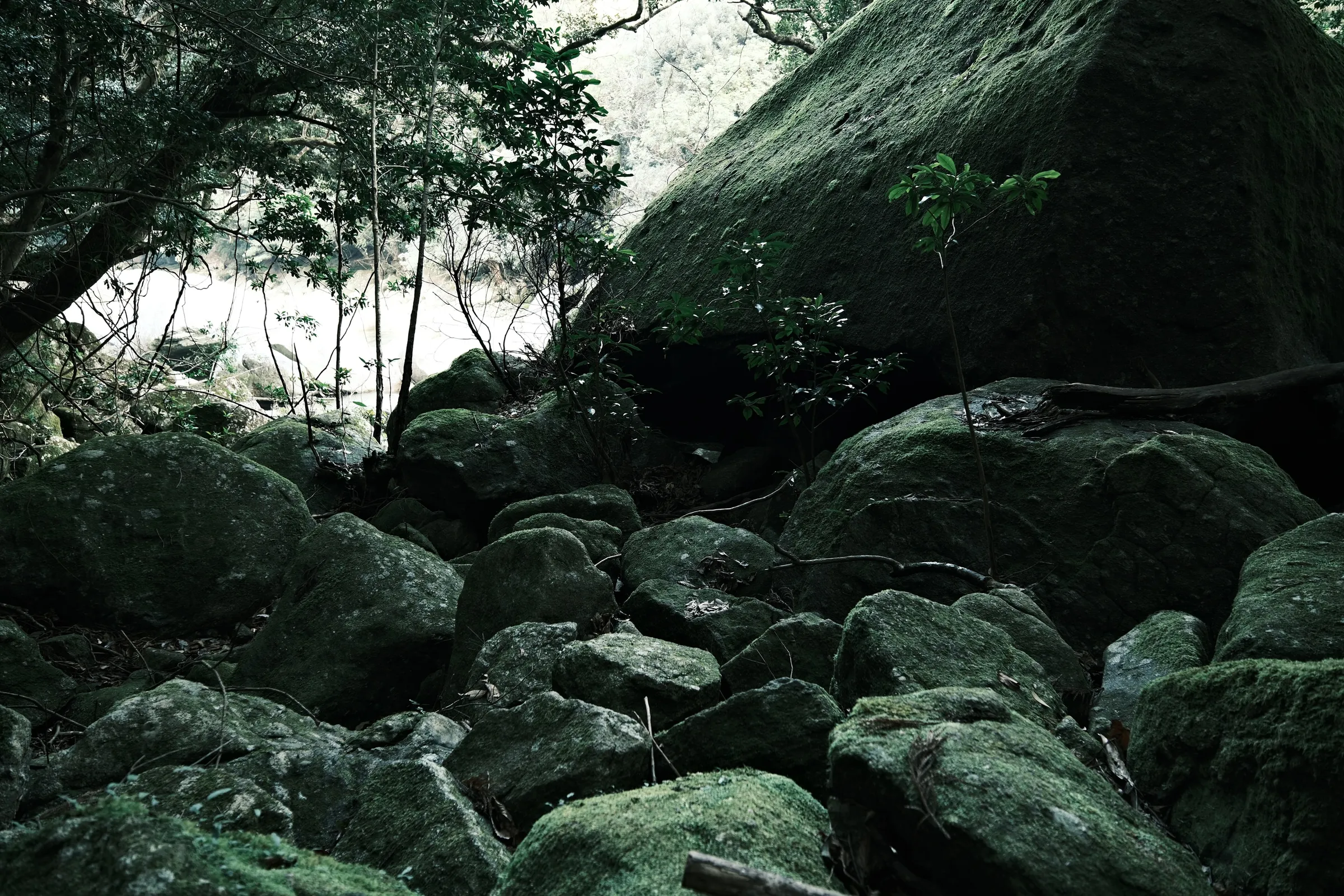 japan-2026, frame 265