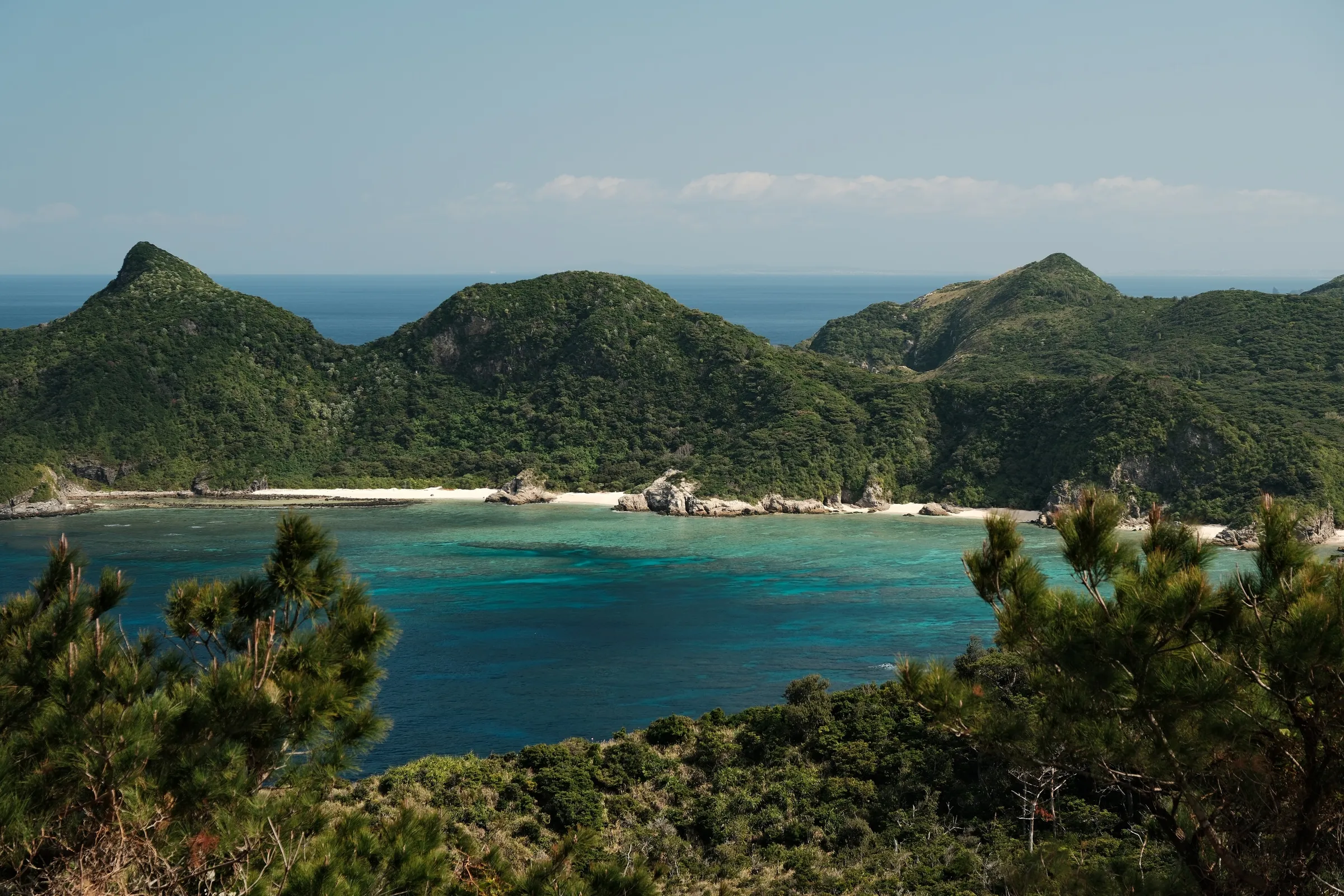 japan-2026, frame 331