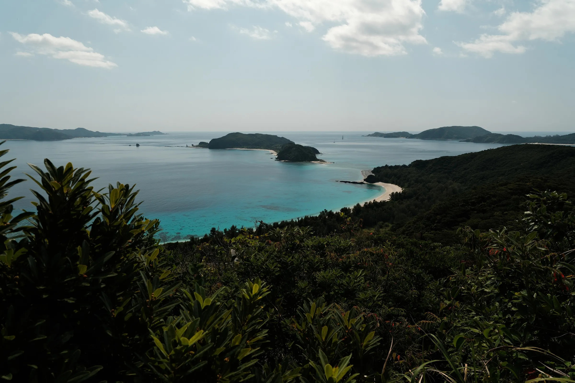 japan-2026, frame 333
