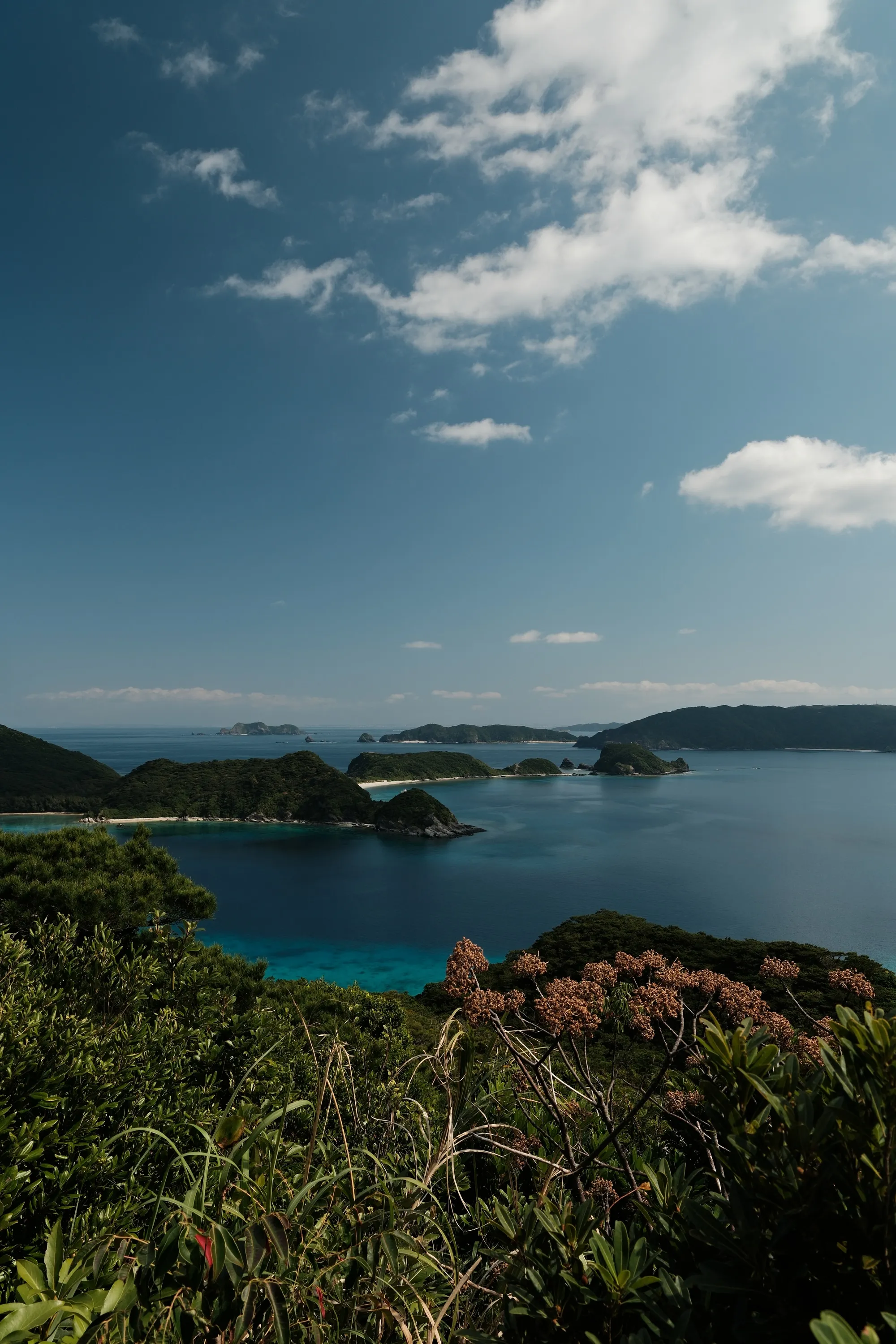 japan-2026, frame 334