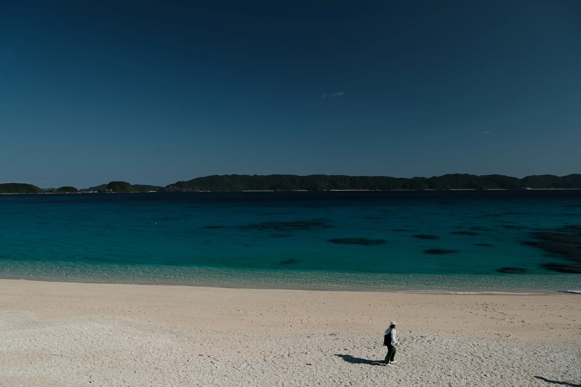japan-2026, frame 335