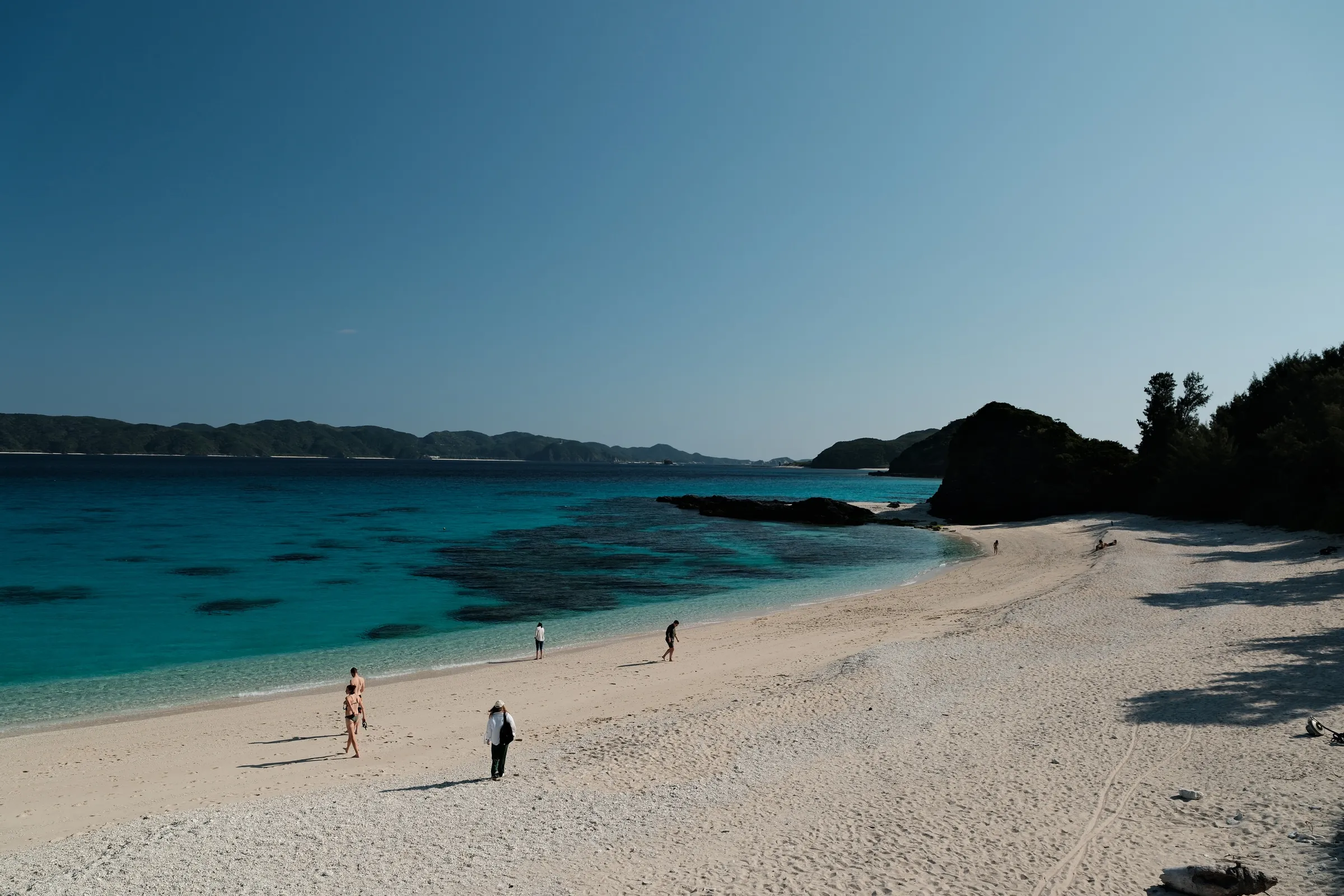 japan-2026, frame 336