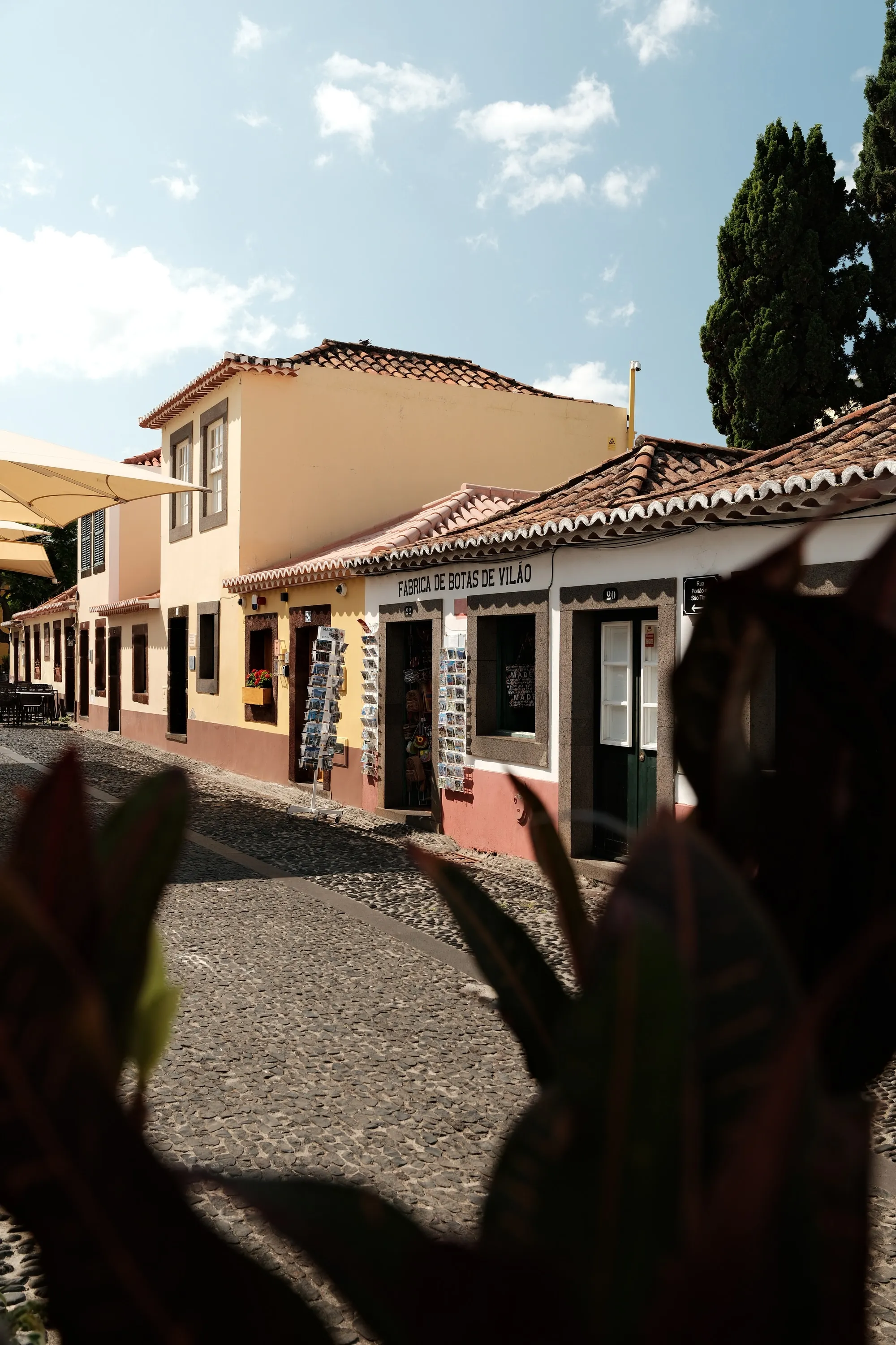 madeira-2026, frame 3