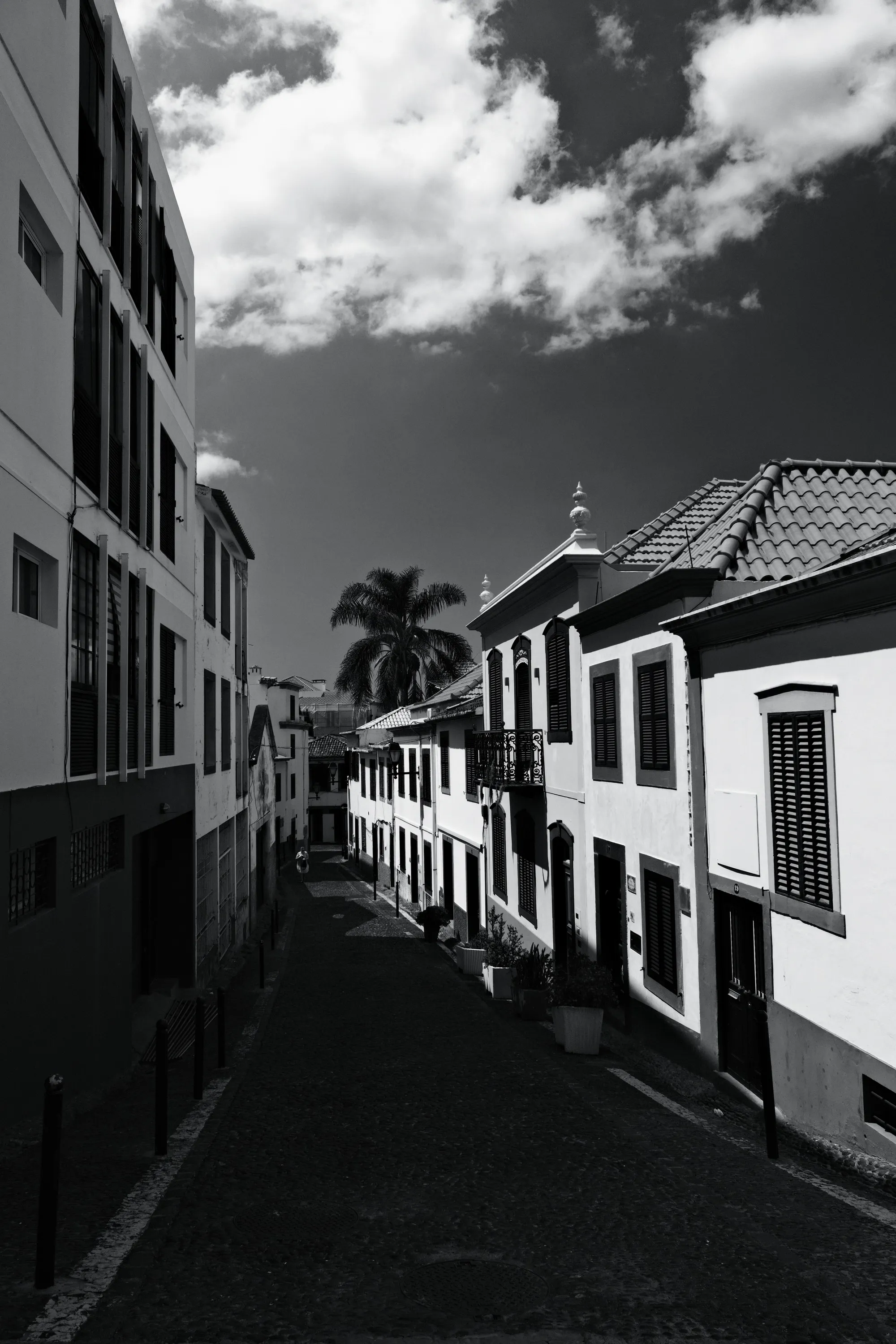 madeira-2026, frame 5