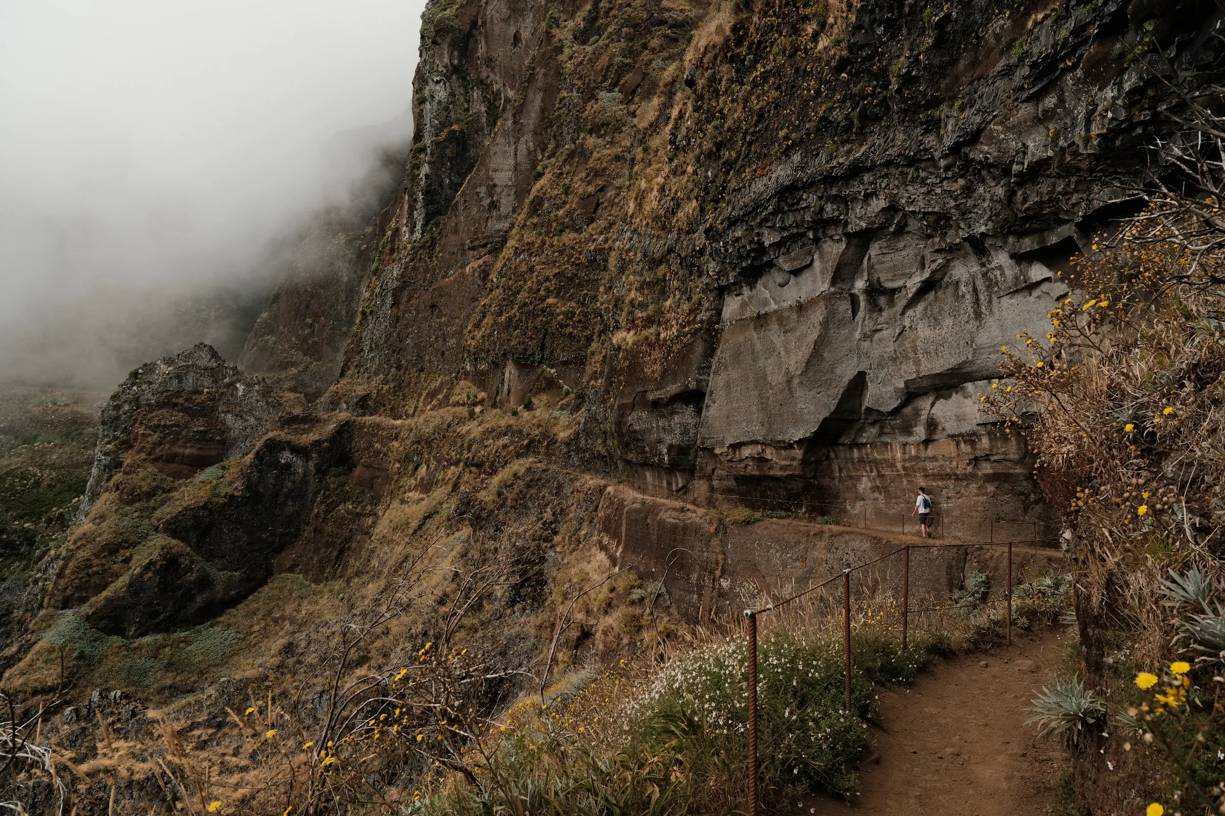 madeira-2026, frame 26