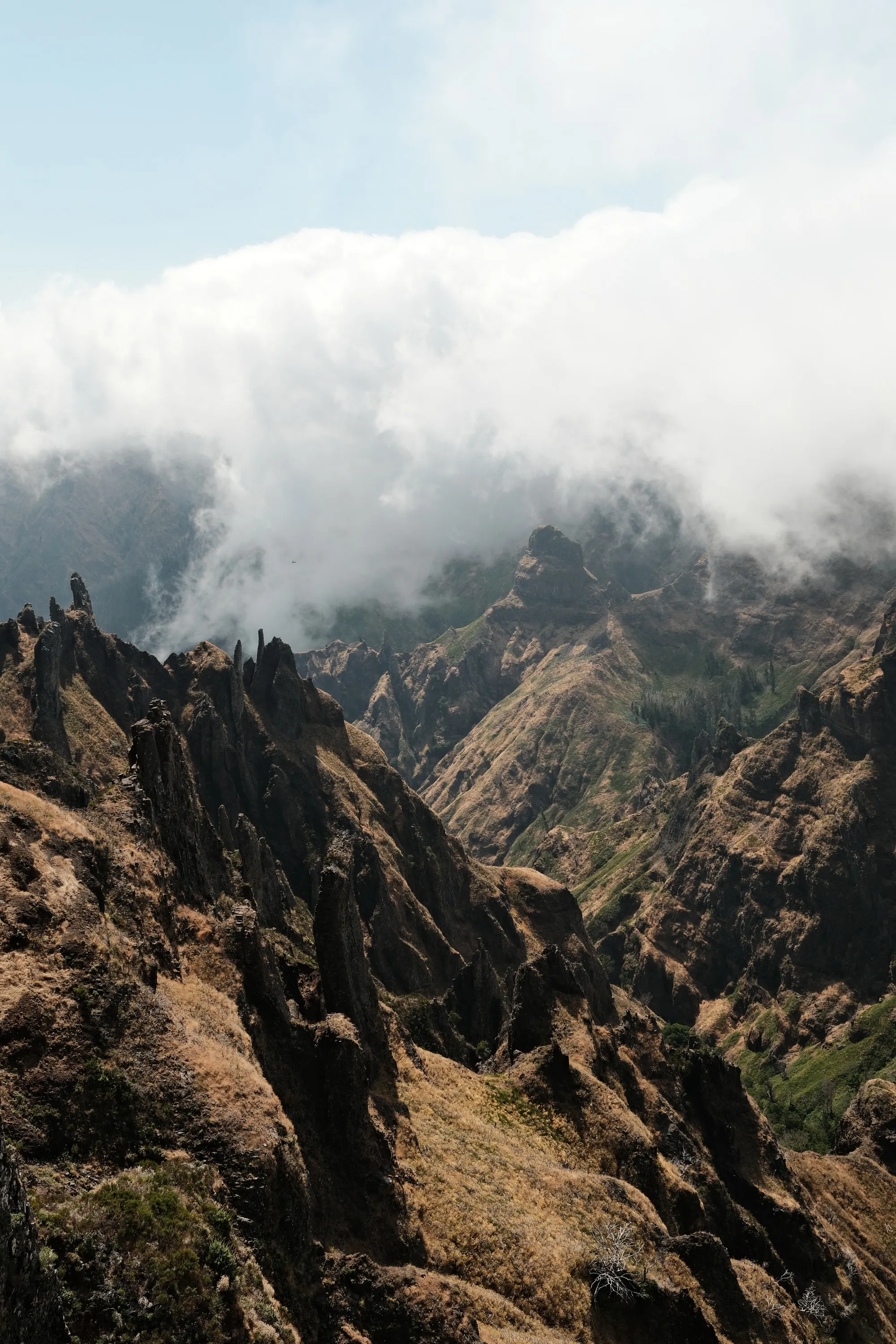 madeira-2026, frame 23
