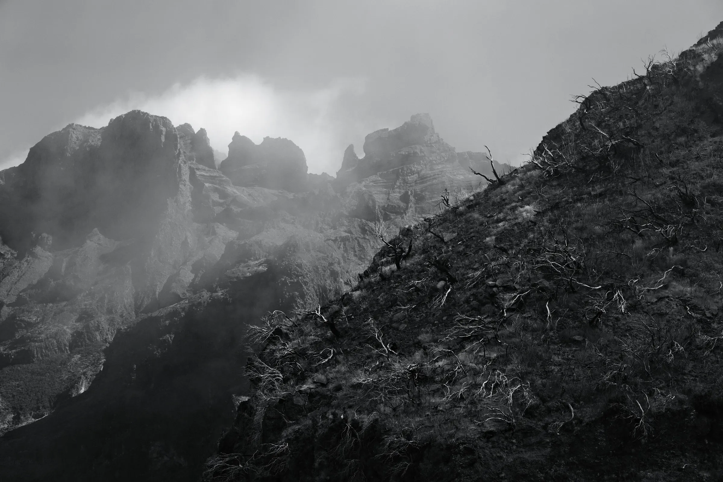 Desolation