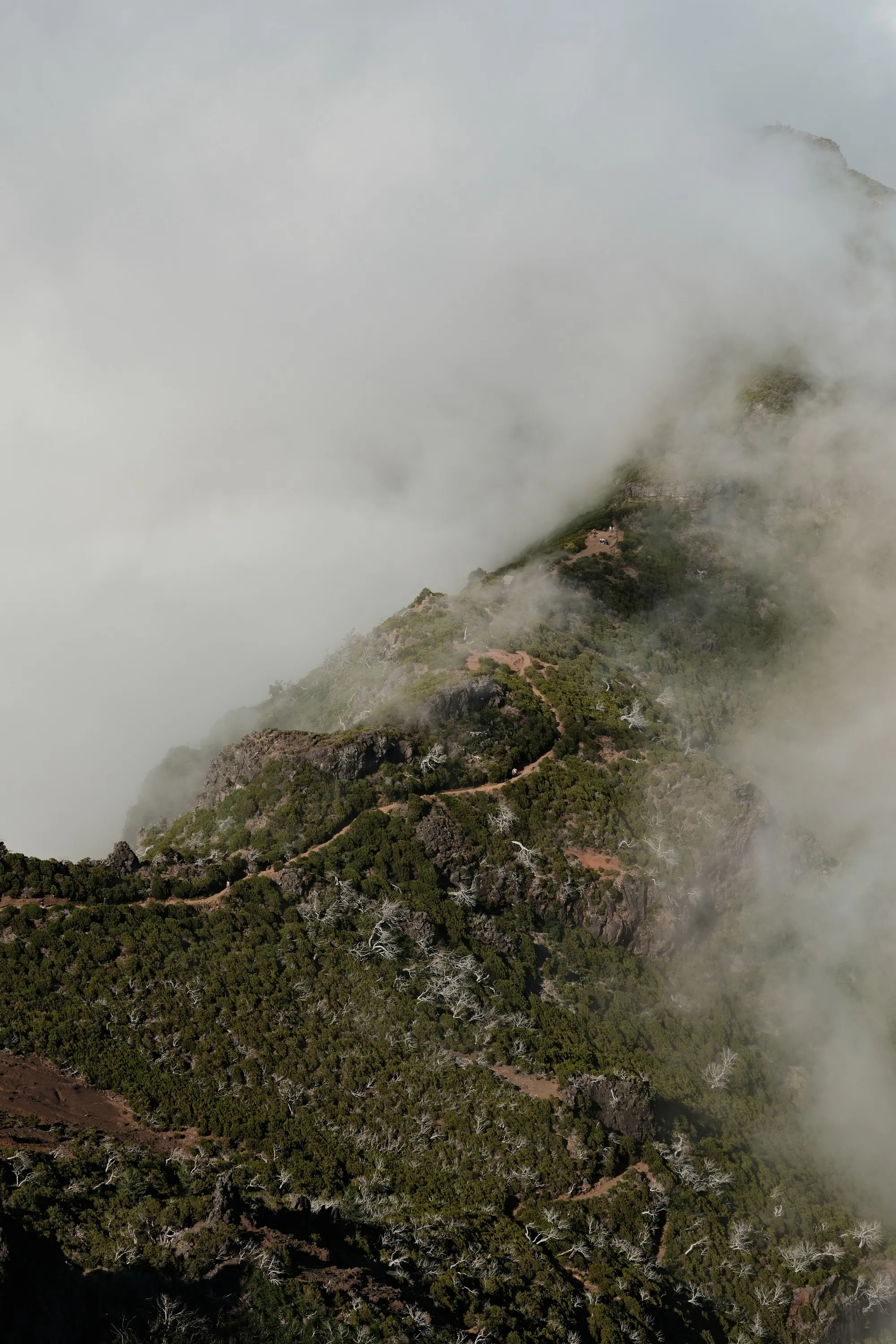 madeira-2026, frame 33