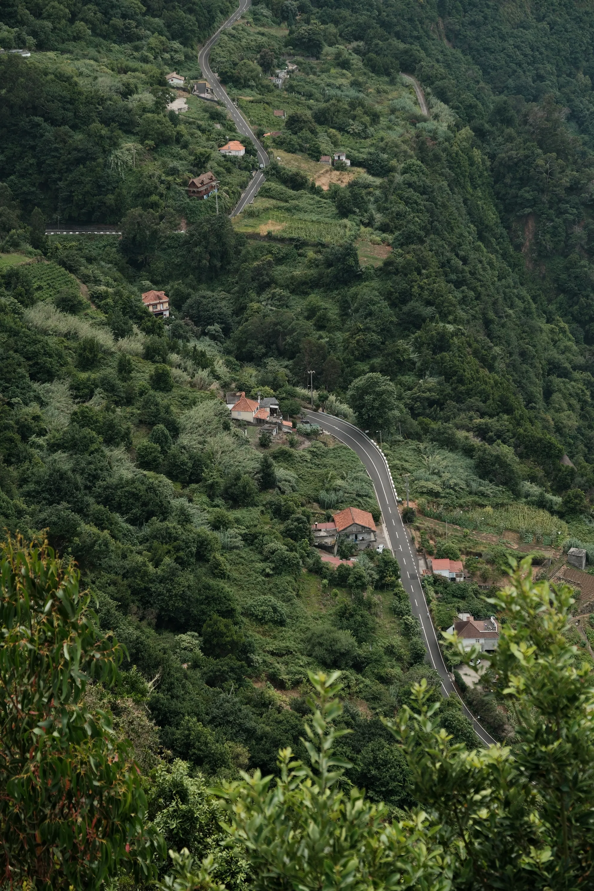madeira-2026, frame 74