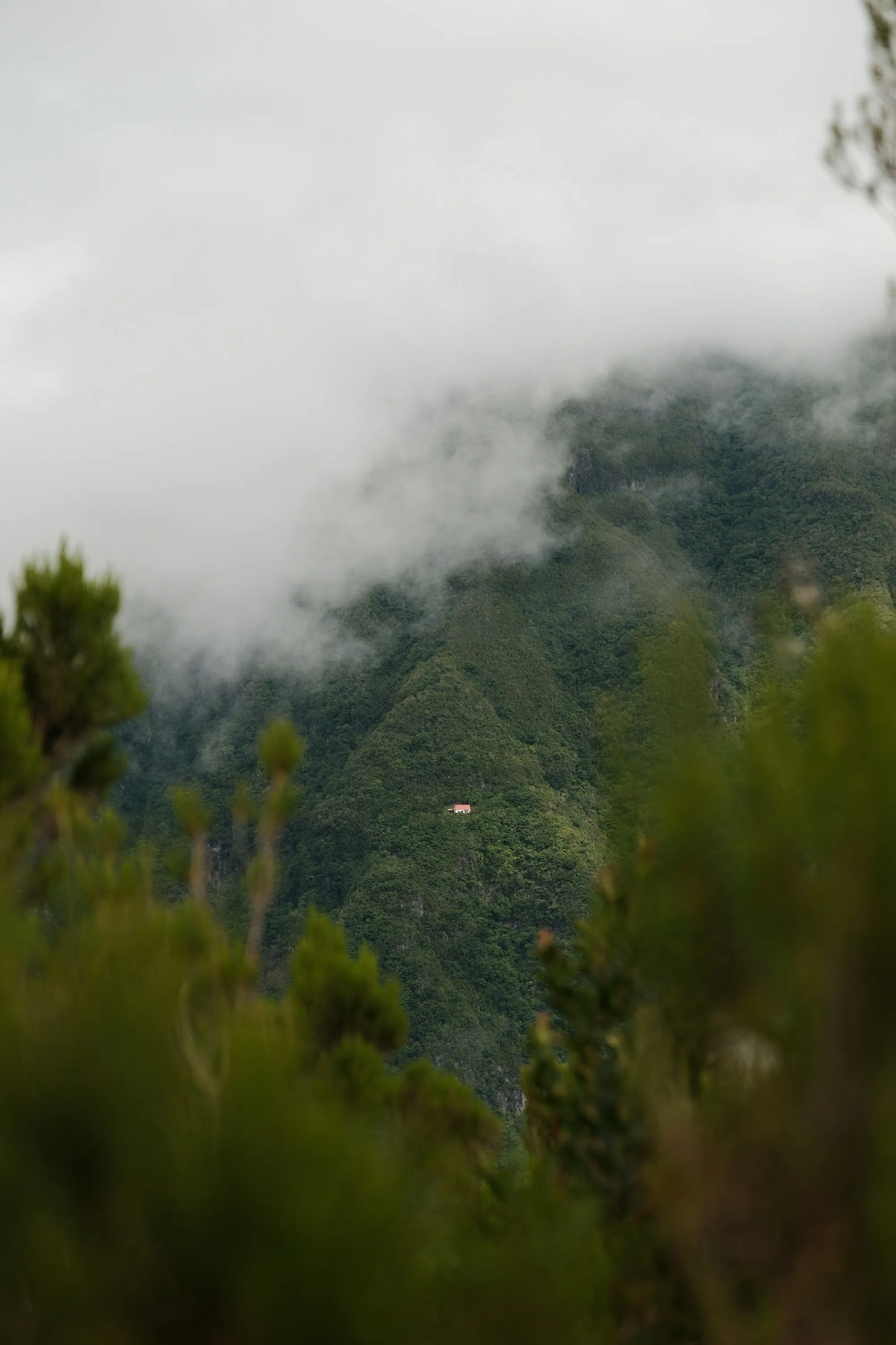 madeira-2026, frame 80