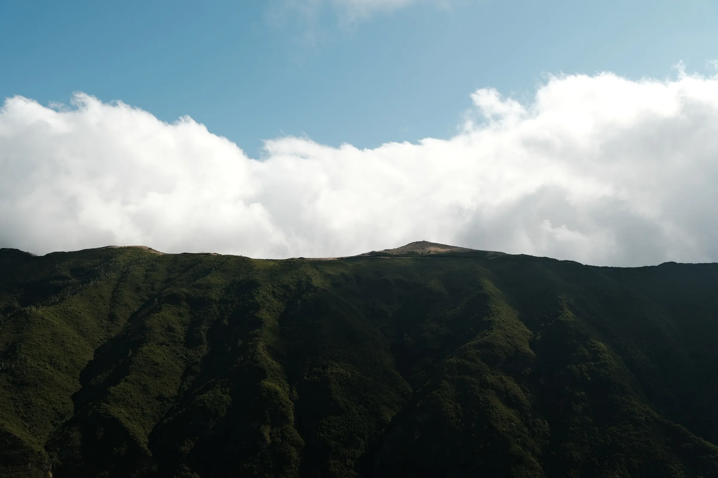 madeira-2026, frame 79